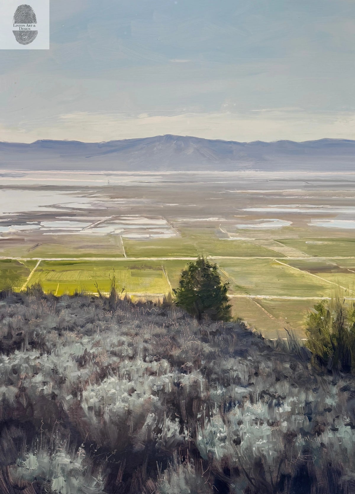 Bear River Bay from the Bonneville Shoreline lintonart