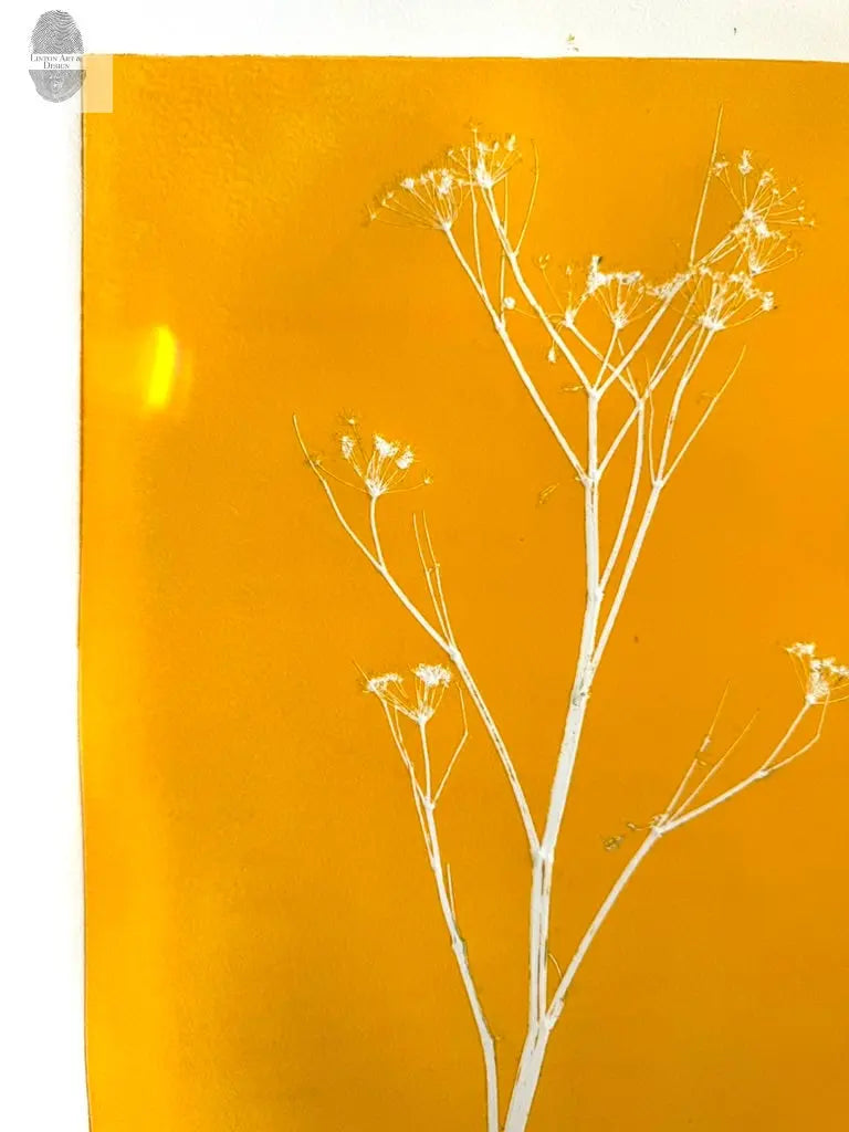Bright Yellow Wild Fennel Monotype Print, Original 19x15 inches lintonart