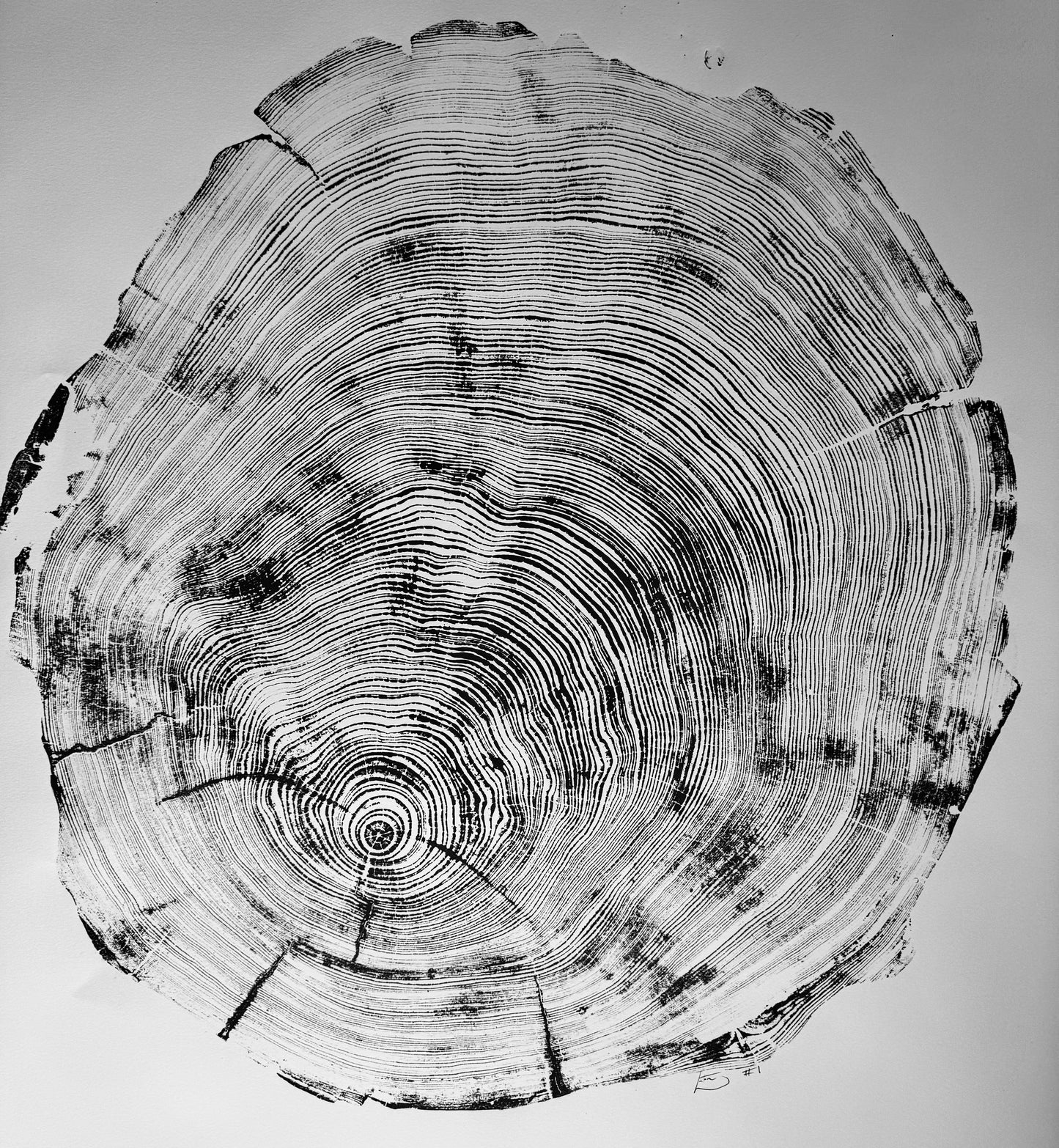 San Francisco Redwood 36x48 Inches. Original Signed artwork made from Real Redwood lintonart