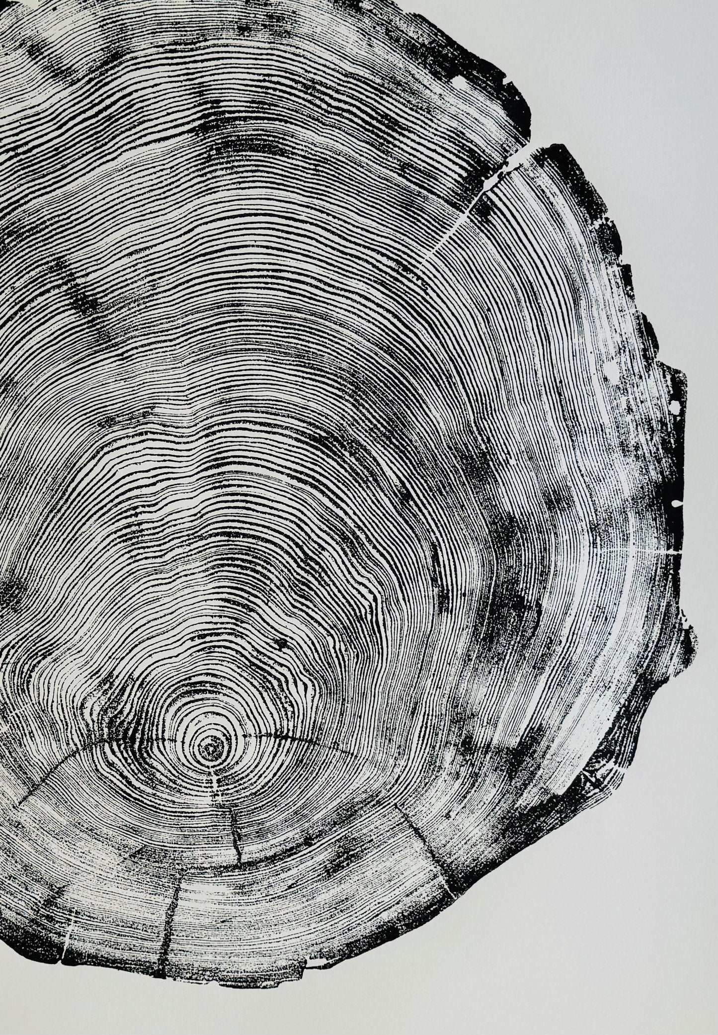 San Francisco Redwood 36x48 Inches. Original Signed artwork made from Real Redwood lintonart