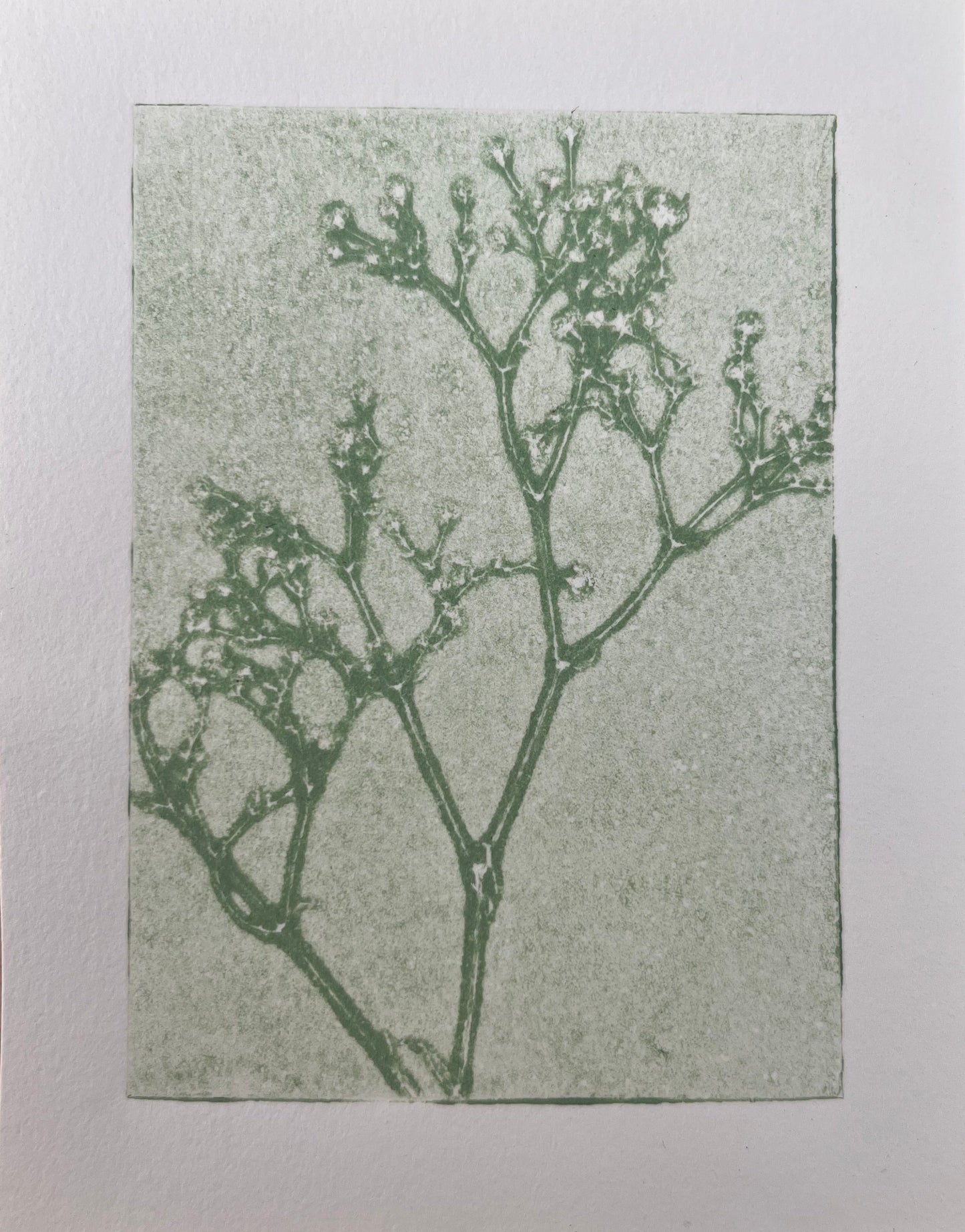 light green botanical 4x5in print