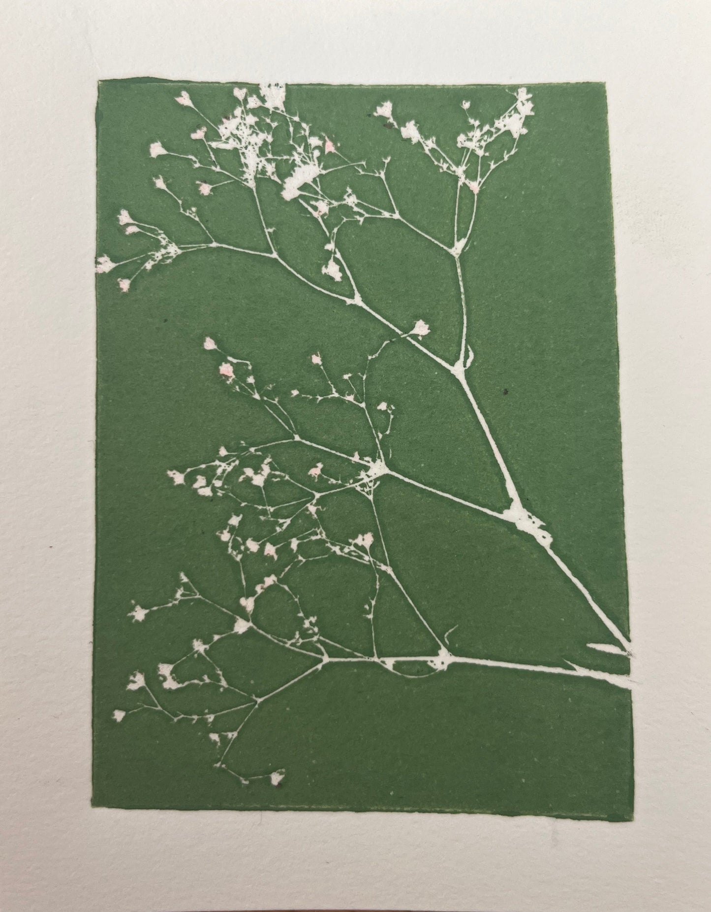botanical print 4x5in