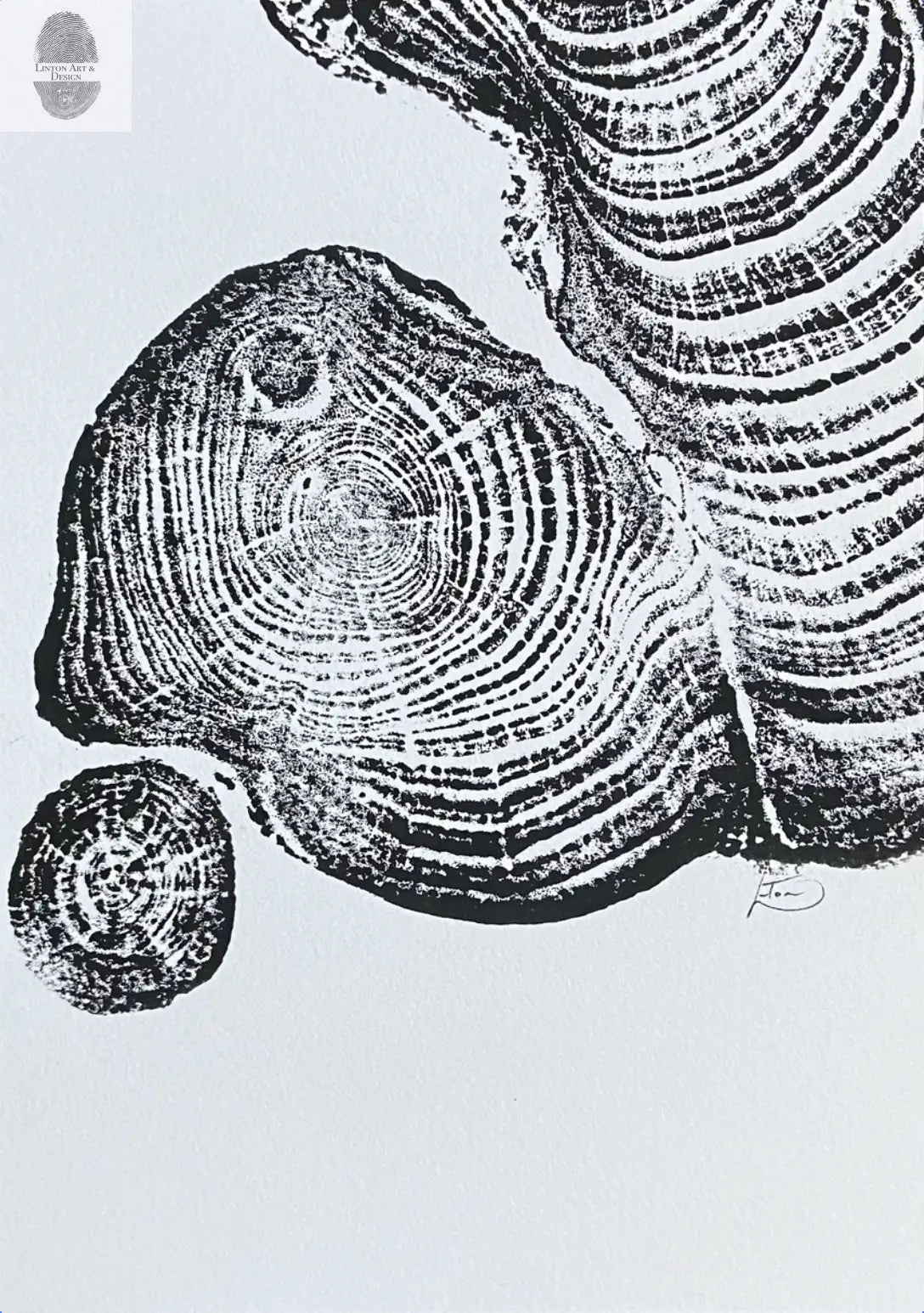 Irish Cypress, Tree Ring Art, 5x7 inches, Woodcut, woodblock print lintonart