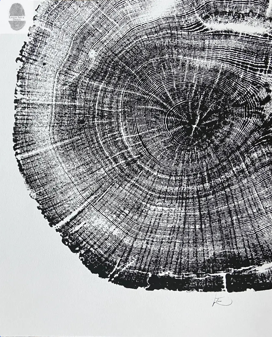 Michigan Oak Tree, Tree Ring Art, 8x10 inches, Woodcut, woodblock print lintonart