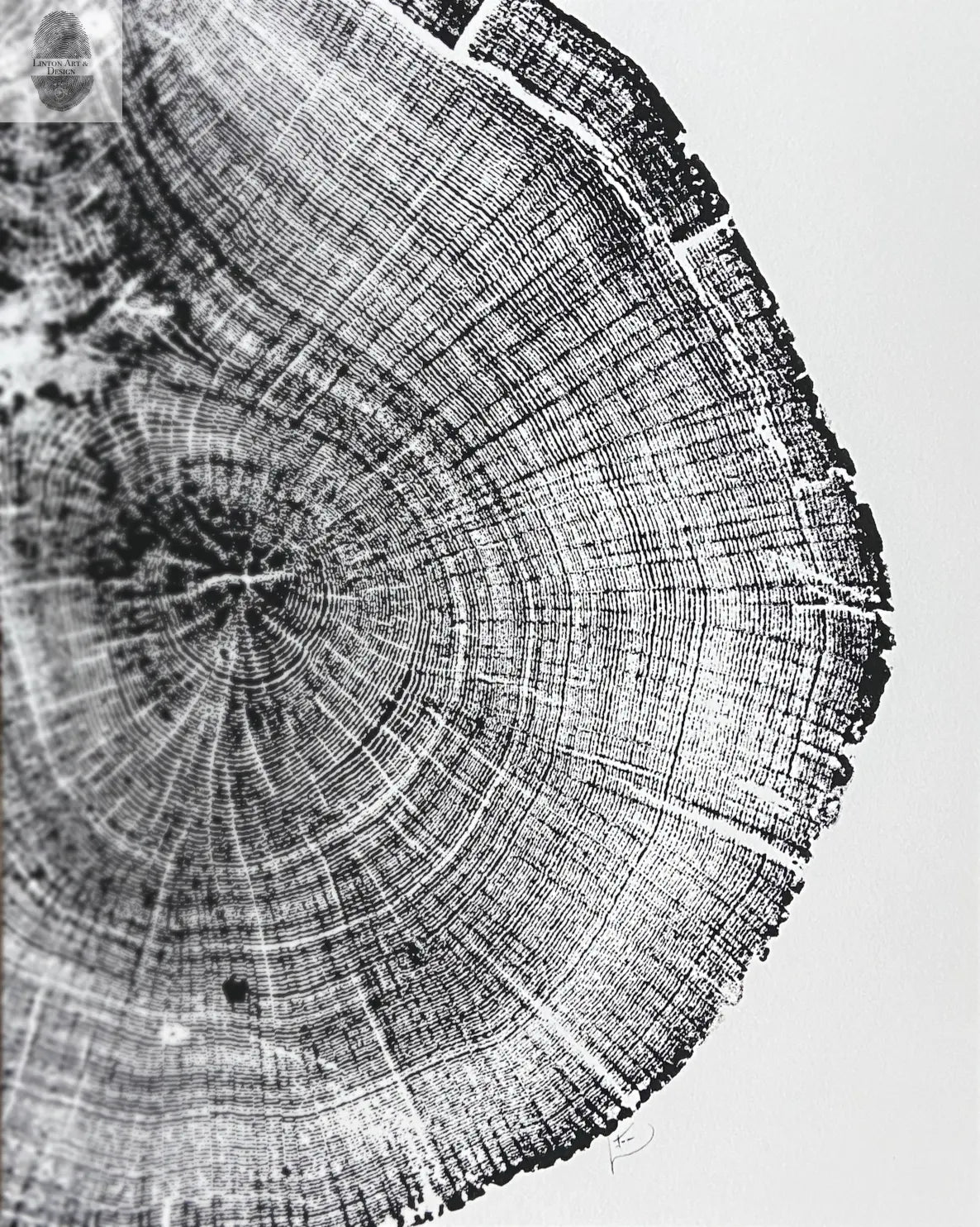 Michigan Oak Tree, Tree Ring Art, 8x10 inches, Woodcut, woodblock print lintonart