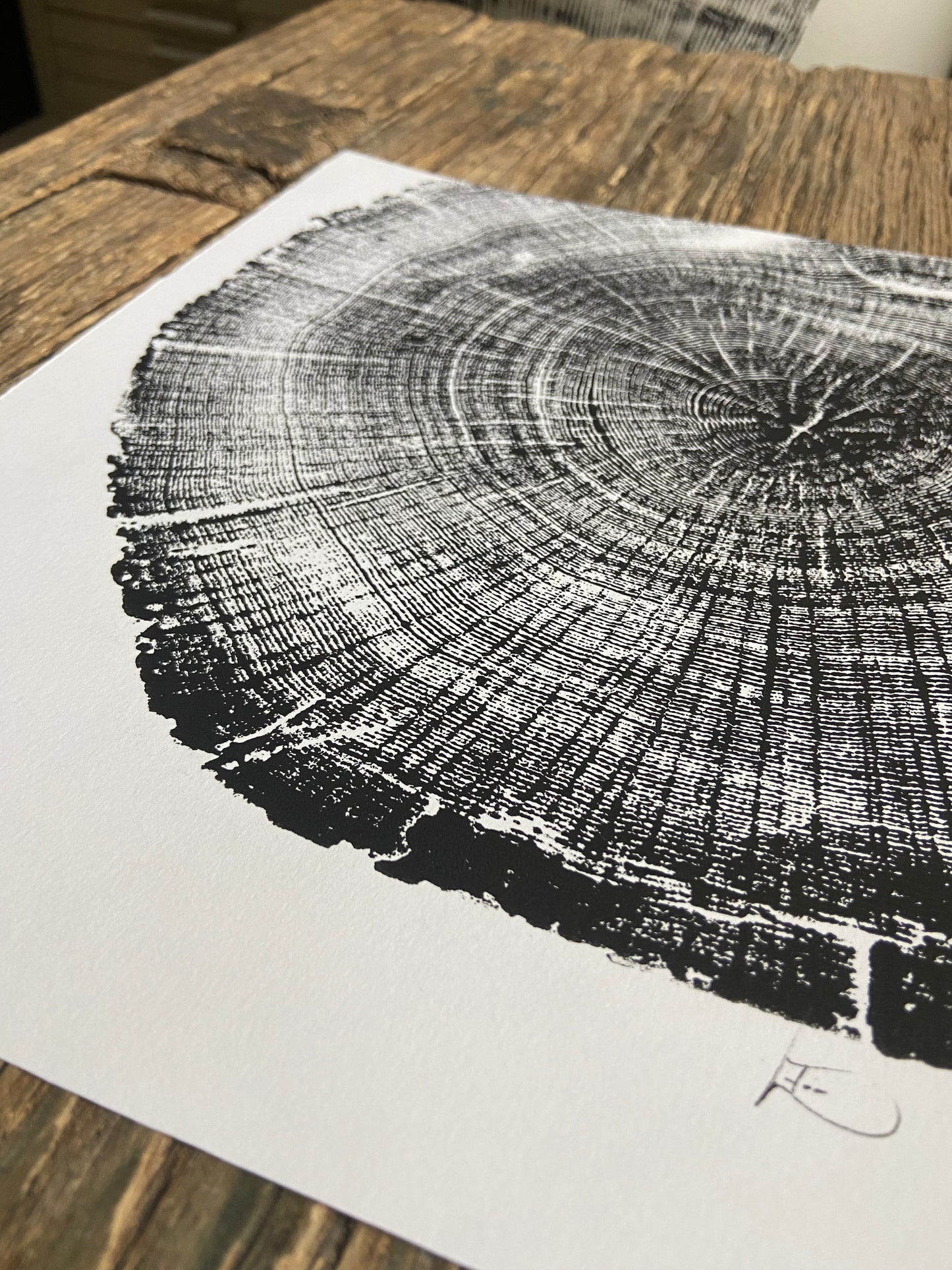 Michigan Oak Tree, Tree Ring Art, 8x10 inches, Woodcut, woodblock print lintonart
