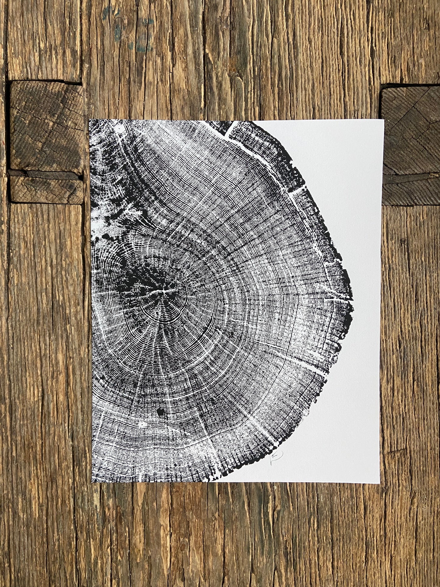Michigan Oak Tree, Tree Ring Art, 8x10 inches, Woodcut, woodblock print lintonart