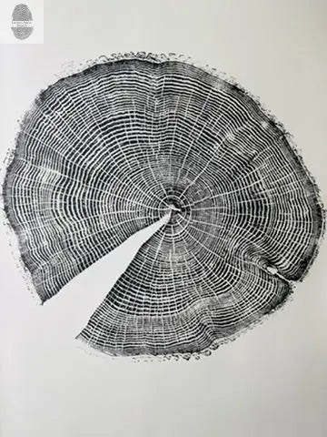 Montreal, Canada Ash - 24x36 inch print lintonart