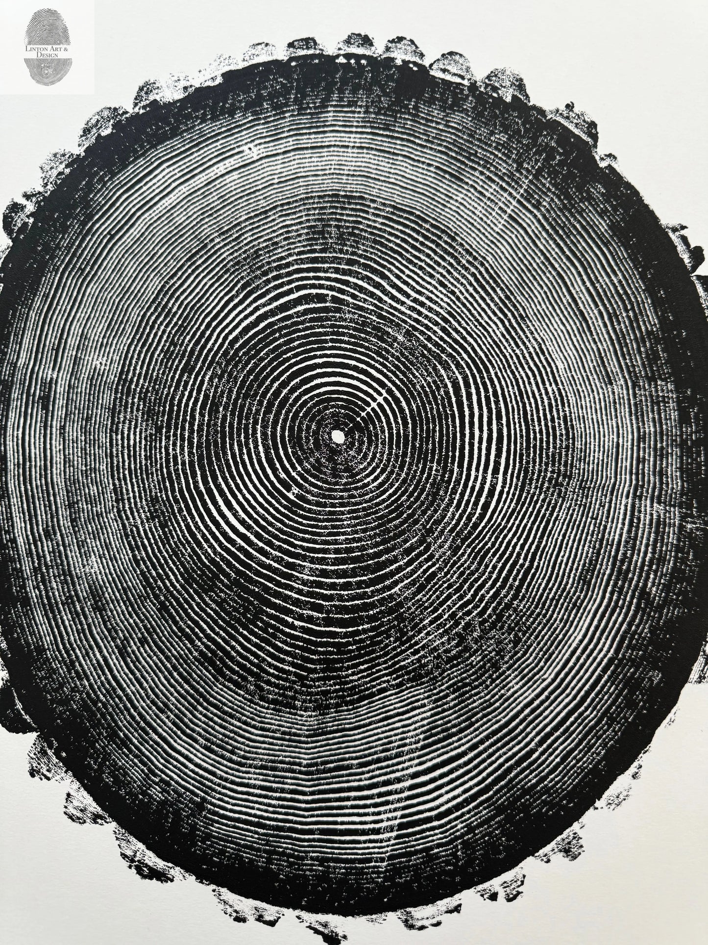 New Hampshire Ash, Sanbornton, Ash tree Art, Tree ring print, dendrology, nature inspired, Linton Art, Woodblock Print lintonart