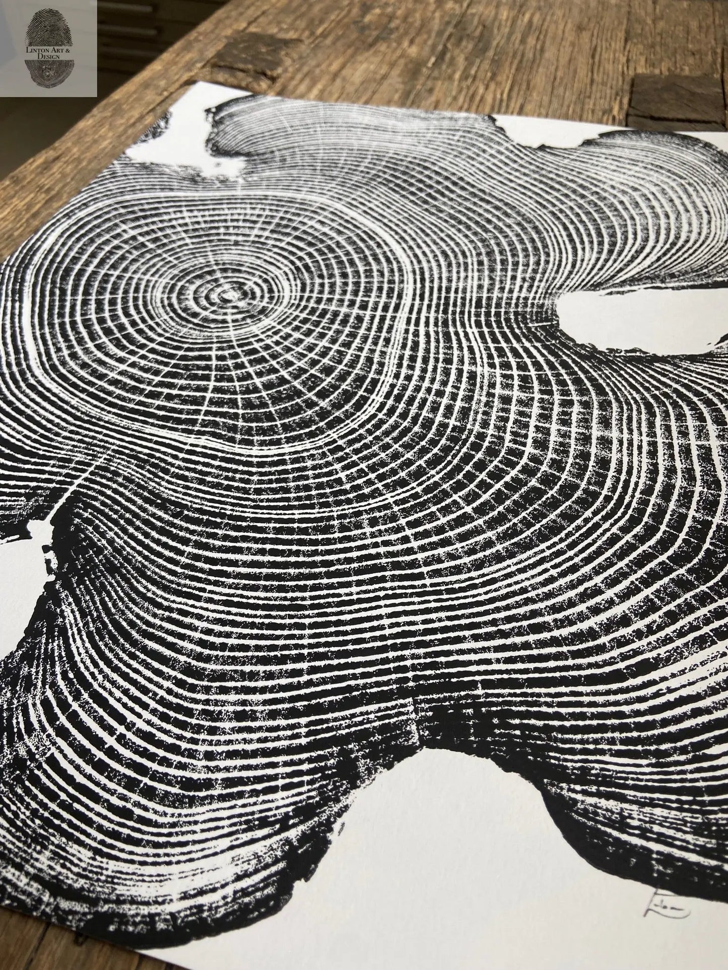 Ohio Locust, Cropped, Limited Edition 12x16 inches. Hand pressed and signed. lintonart