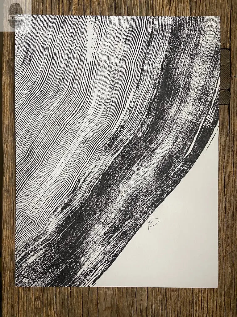 Oregon Sitka Spruce Tree Rings Detail, Cropped, Limited Edition 12x16 inches. Hand pressed and signed. lintonart