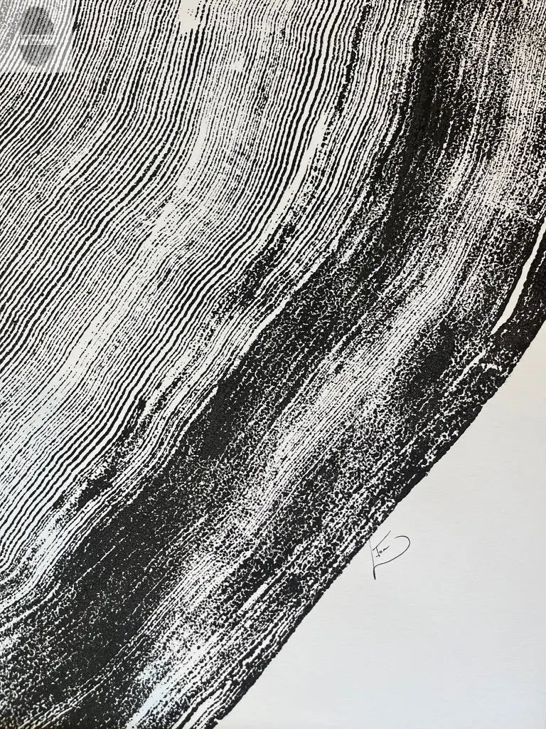 Oregon Sitka Spruce Tree Rings Detail, Cropped, Limited Edition 12x16 inches. Hand pressed and signed. lintonart