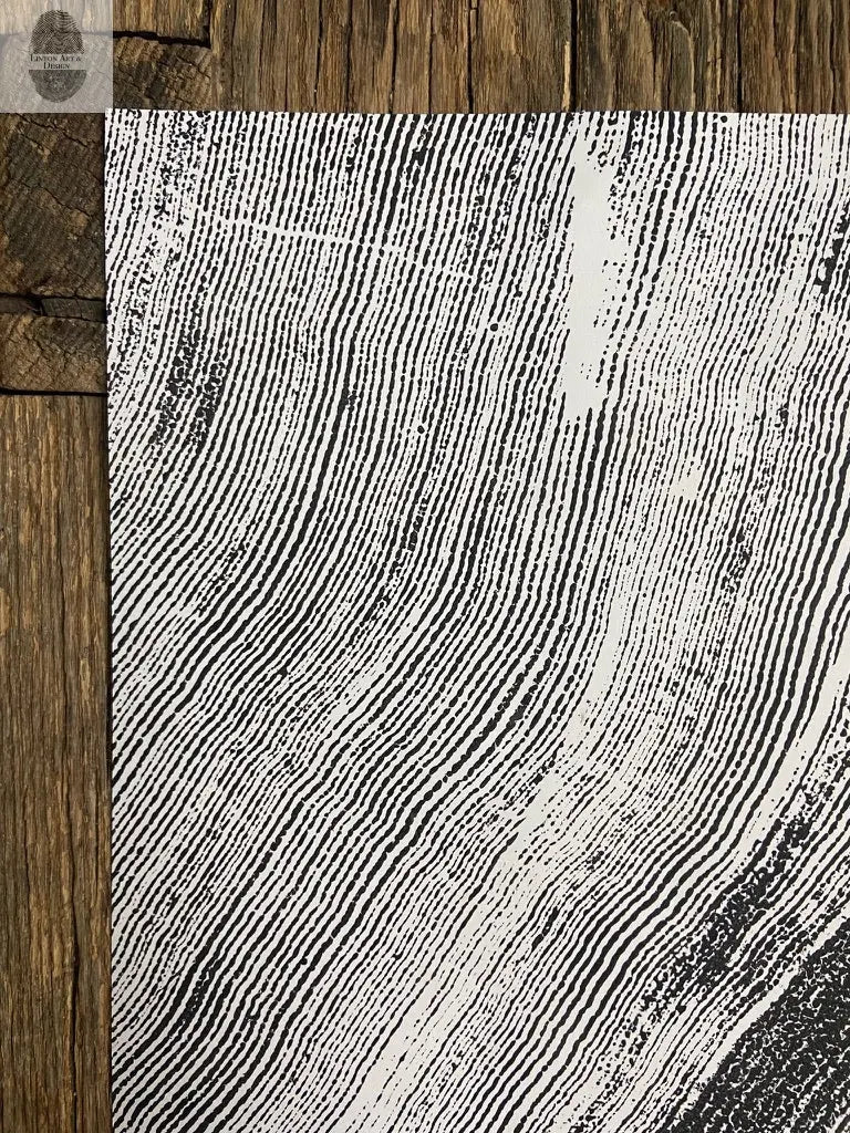 Oregon Sitka Spruce Tree Rings Detail, Cropped, Limited Edition 12x16 inches. Hand pressed and signed. lintonart