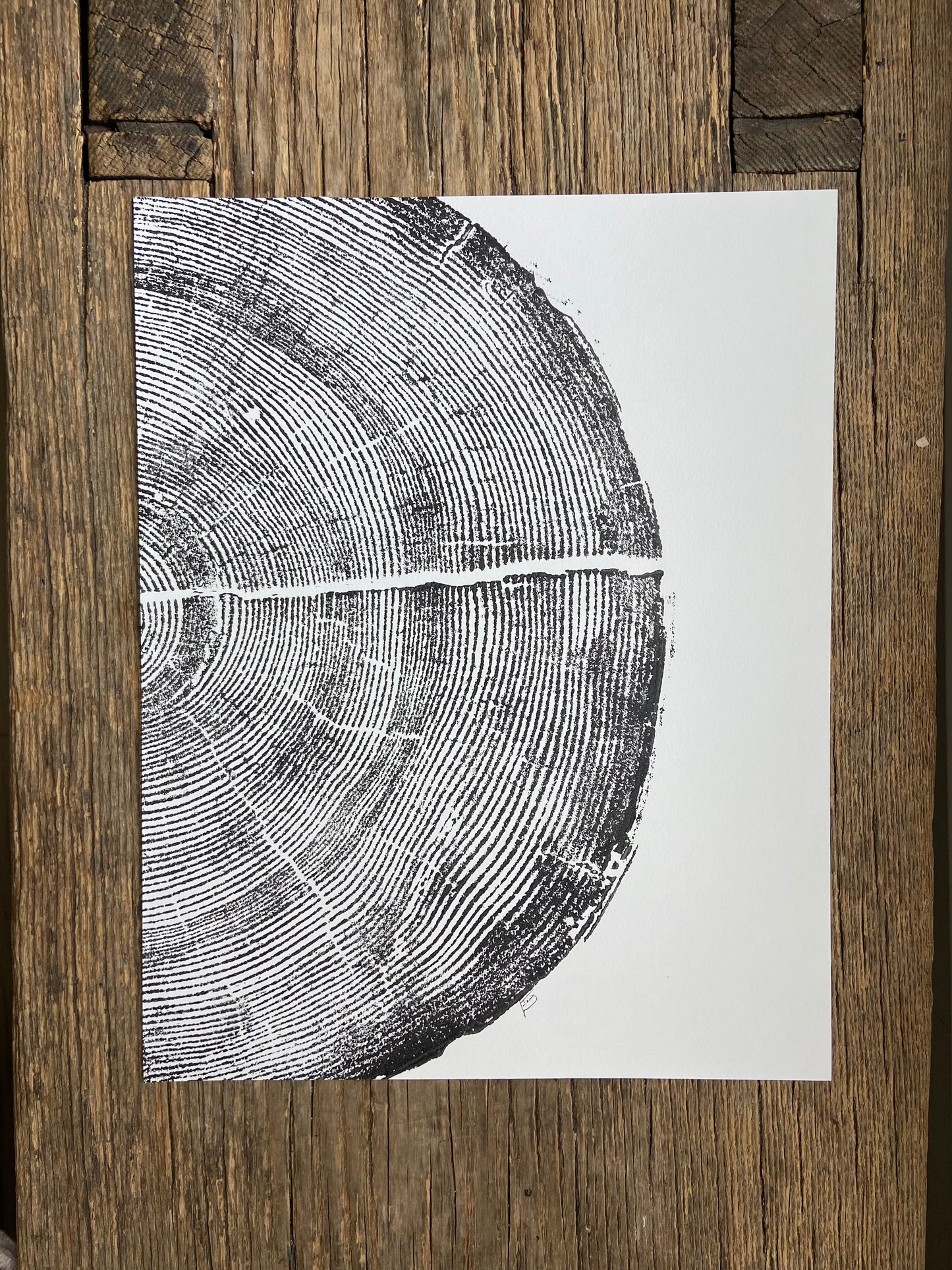 Rock Canyon Pine, Cropped, Limited Edition 11x14 inches. Hand pressed and signed. lintonart