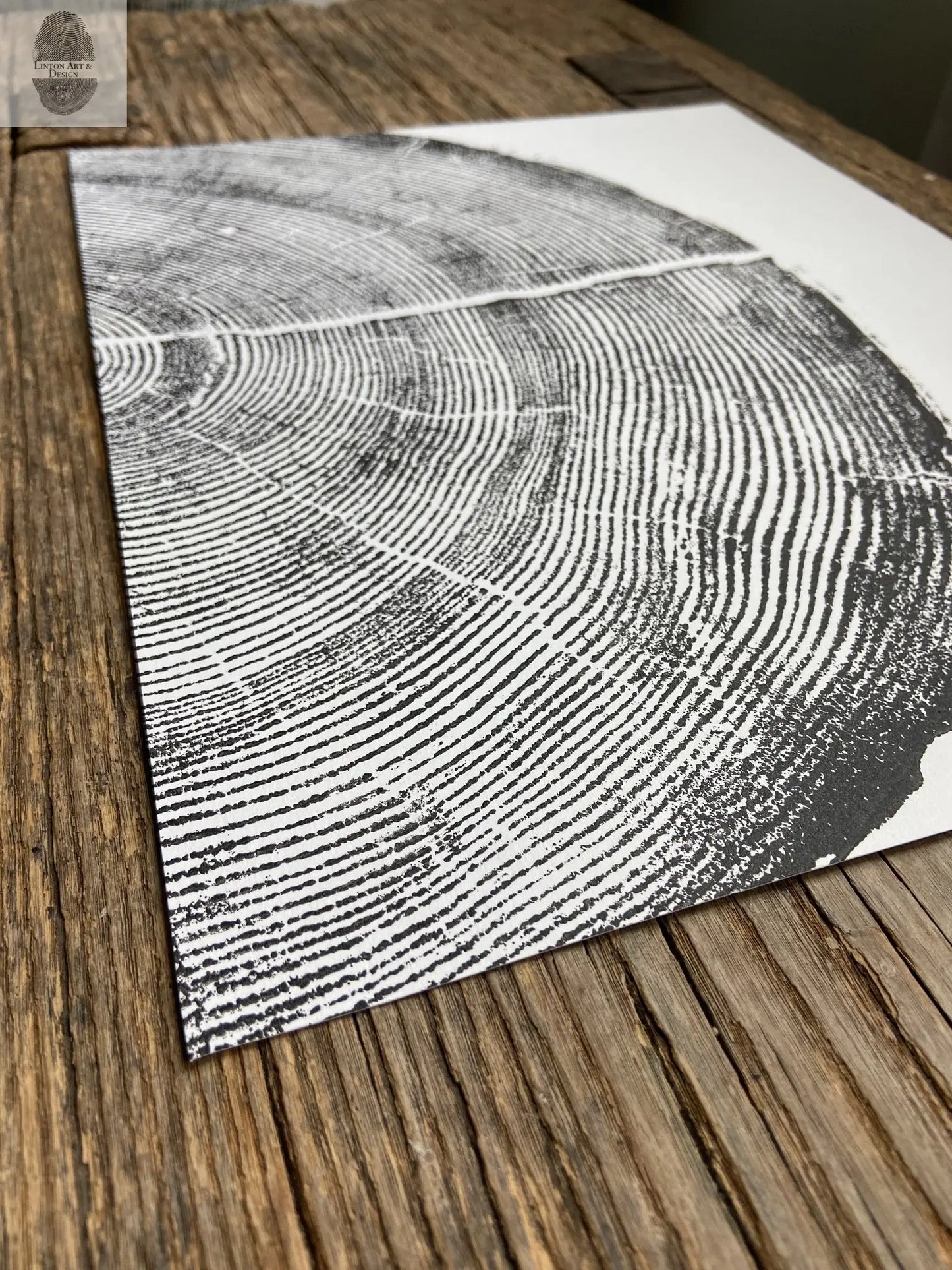 Rock Canyon Pine, Cropped, Limited Edition 11x14 inches. Hand pressed and signed. lintonart