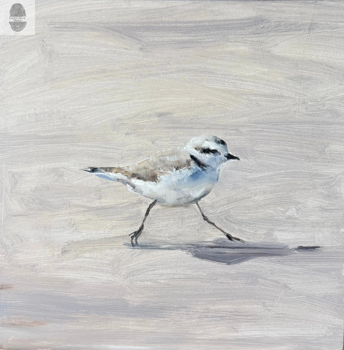 Snow Plover lintonart