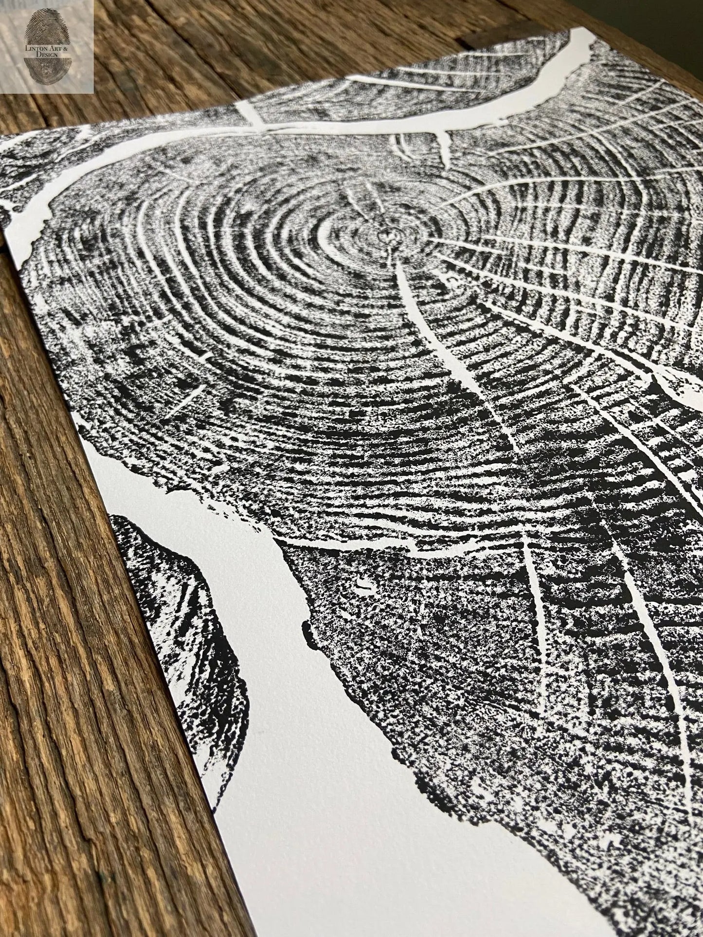 Sugar Maple, Cropped, Limited Edition 12x16 inches. Hand pressed and signed. lintonart