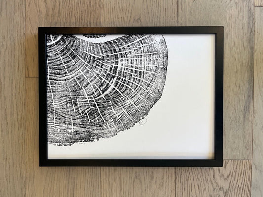Pennsylvania Maple Cropped Tree Ring Original Print, 12x16 inches, Signed