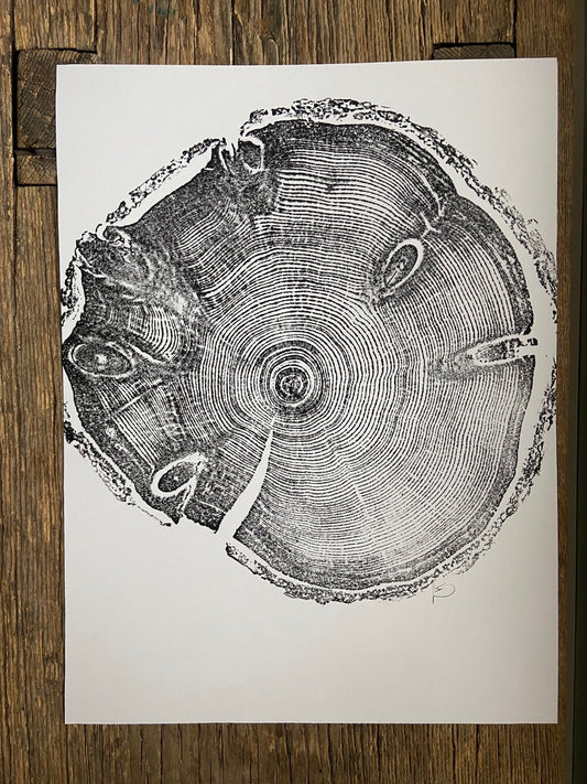 Knotted Pine from Utah, Cropped, Limited Edition 12x16 inches. Hand pressed and signed.