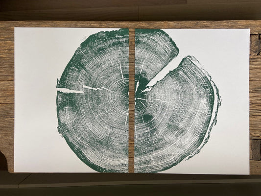 Uinta Pine Tree Ring Prints in green, Set of 2, Cropped, Limited Edition 11x14 inches. Hand pressed and signed.