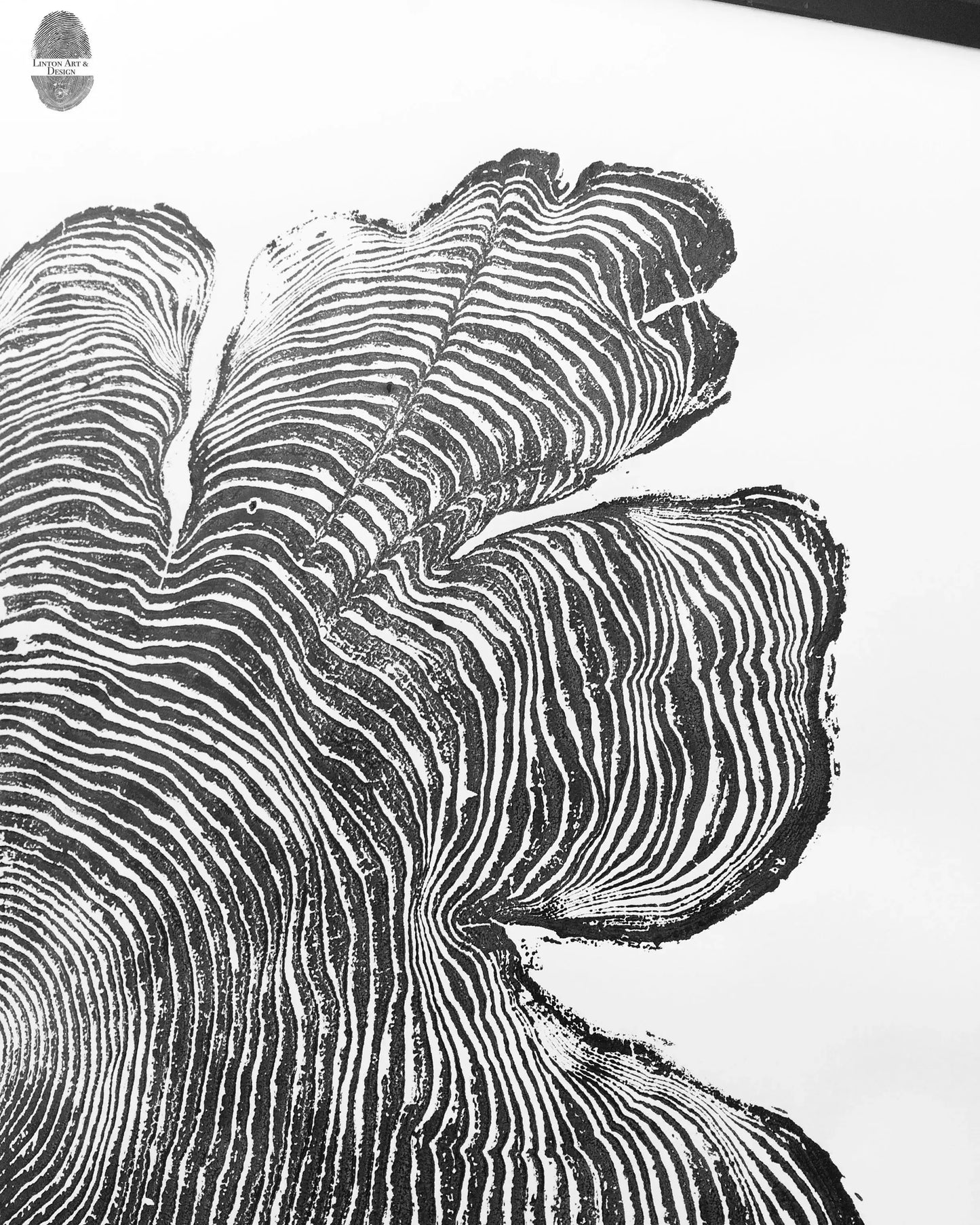 Western Red Cedar, Oregon Print, Woodcut print, PNW art, Lumber lintonart