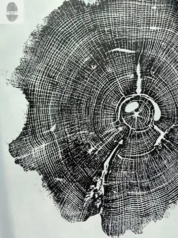 Williamsburg, Virginia Oak - 18x24 inch print lintonart