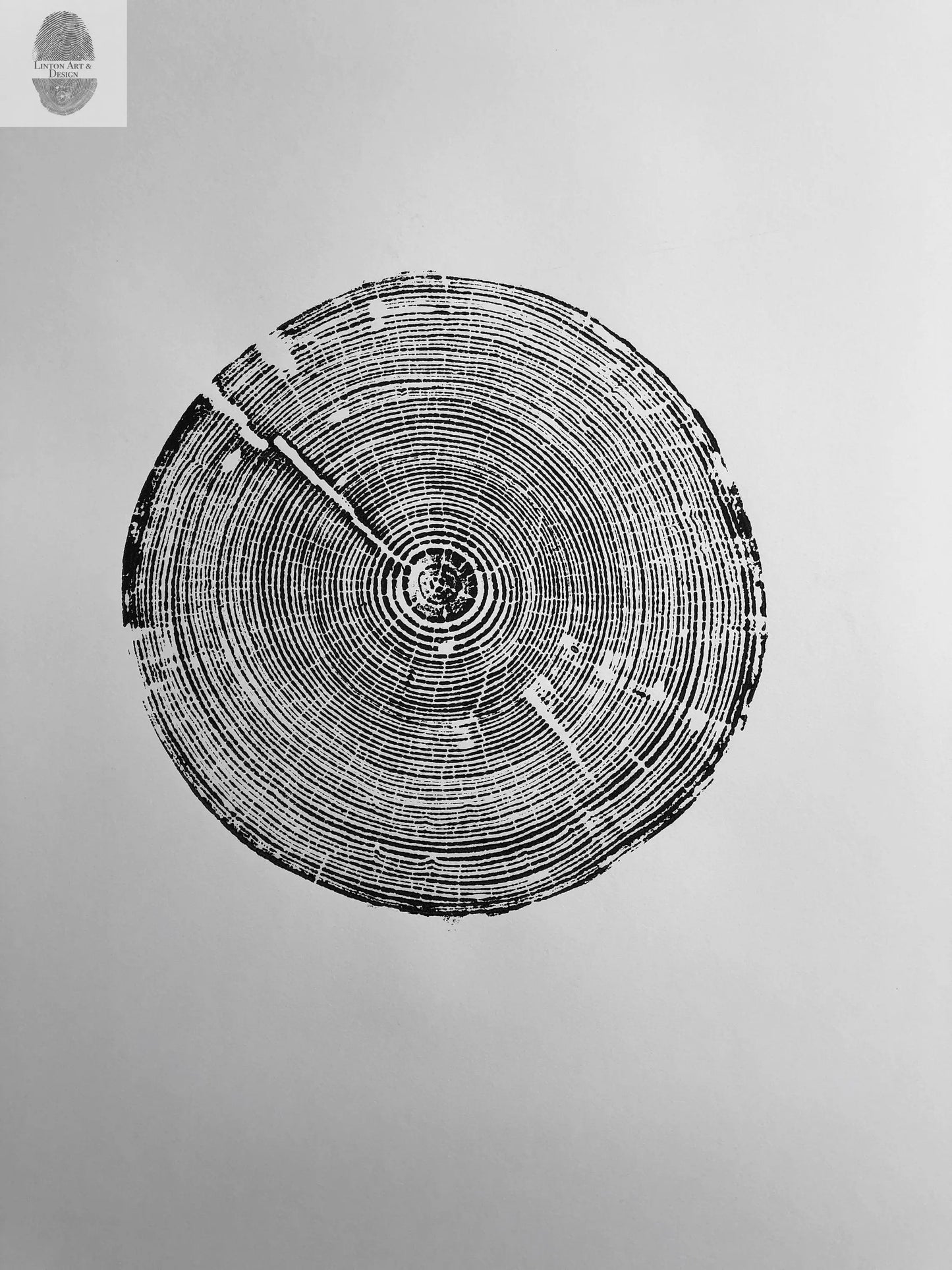Alabama Tree Ring Print, Alabama art print, made by hand from a real tree from Birmingham area, Original woodcut print, 18x24 inch paper lintonart