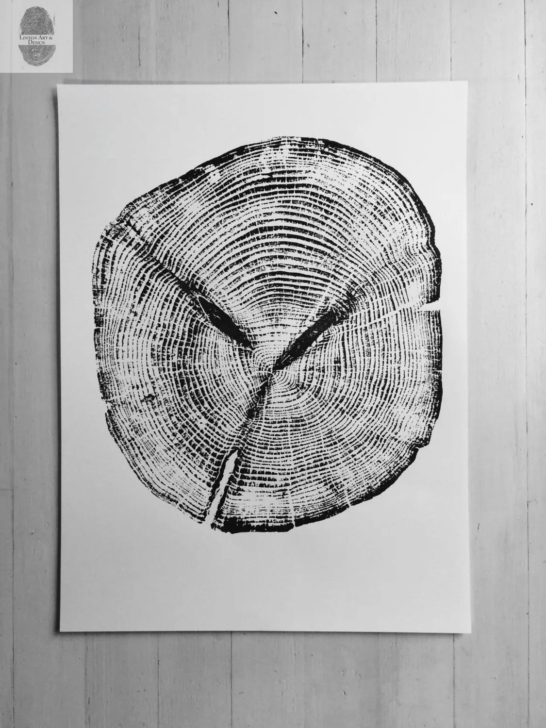 Alaska Cedar, Alaska Art, Denali, Shabby Tree, Tree Ring Print, Forager lintonart