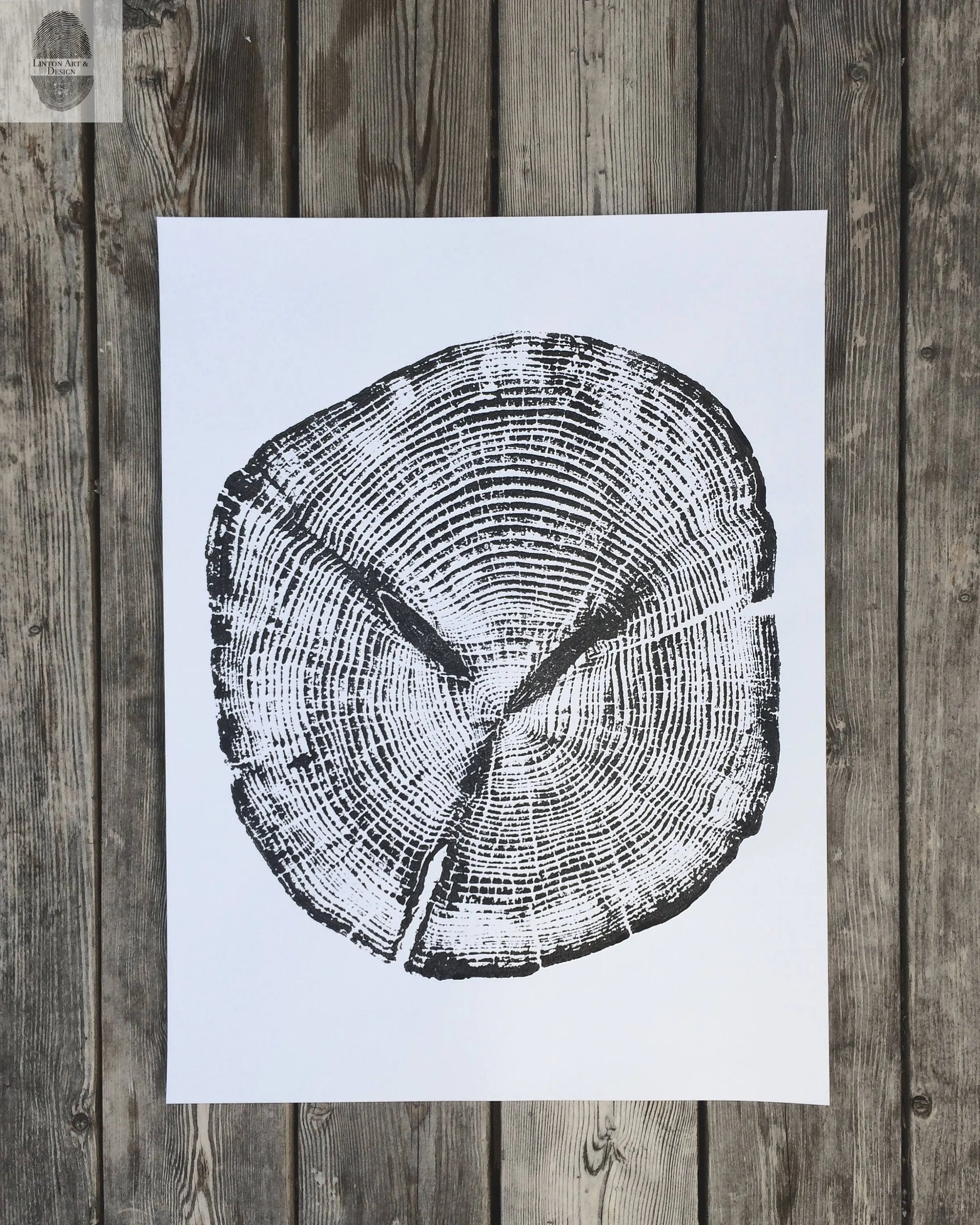 Alaska Cedar, Alaska Art, Denali, Shabby Tree, Tree Ring Print, Forager lintonart