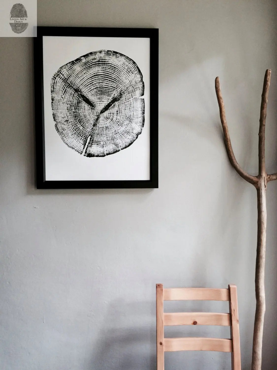 Alaska Cedar, Alaska Art, Denali, Shabby Tree, Tree Ring Print, Forager lintonart