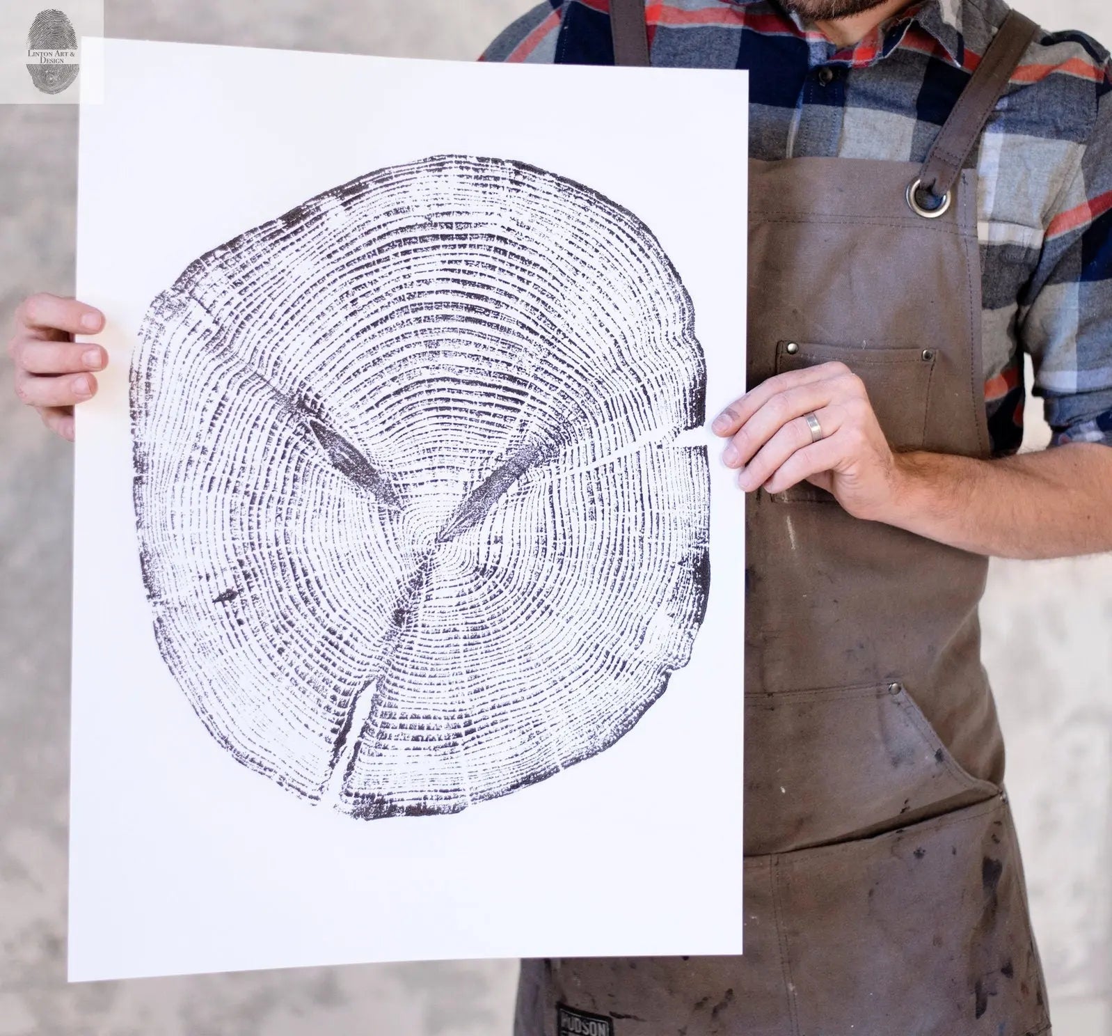 Alaska Cedar, Alaska Art, Denali, Shabby Tree, Tree Ring Print, Forager lintonart
