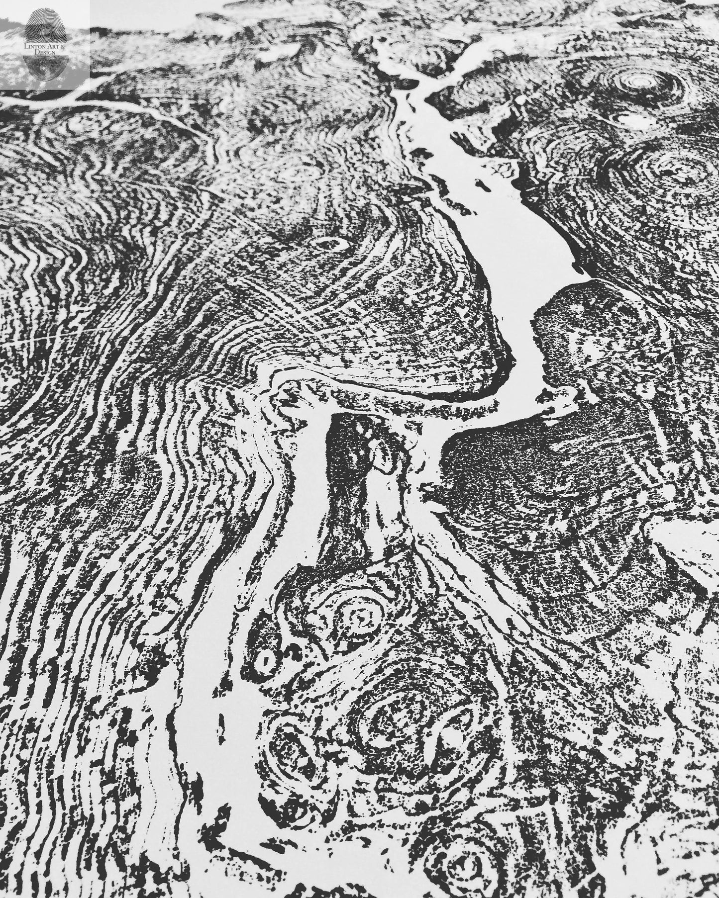 Big Leaf Maple, Tree ring print, Massachusetts art, Oversized tree ring Art, hand pressed tree rings, tree ring art print, Arborist art gift lintonart
