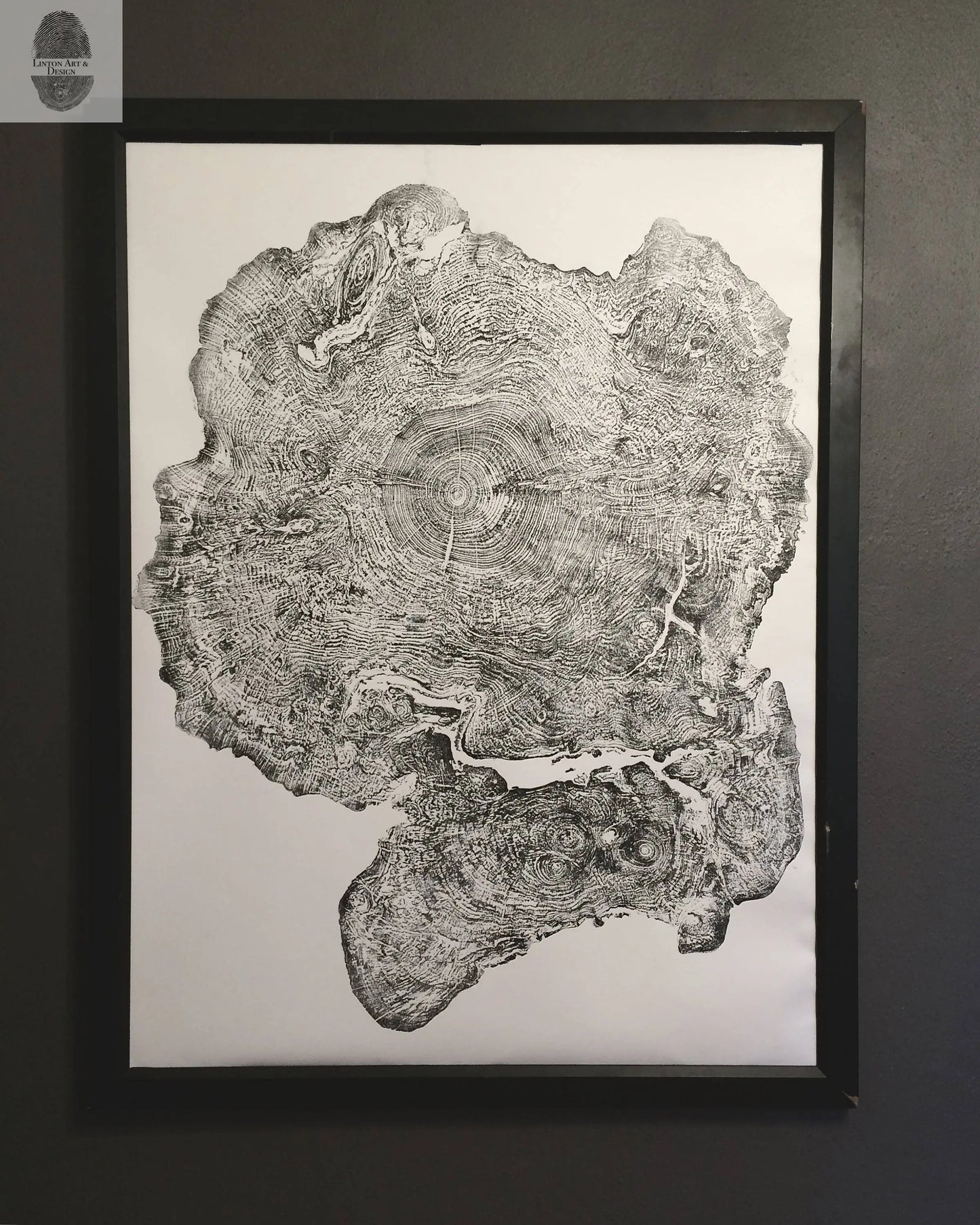 Big Leaf Maple, Tree ring print, Massachusetts art, Oversized tree ring Art, hand pressed tree rings, tree ring art print, Arborist art gift lintonart