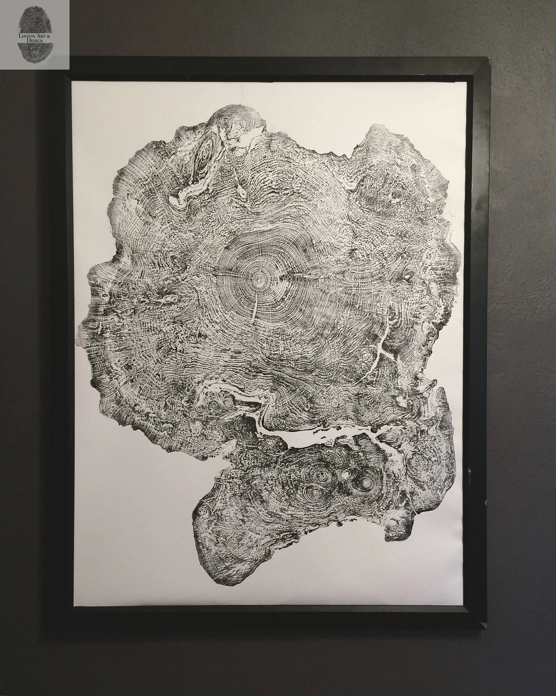 Big Leaf Maple, Tree ring print, Massachusetts art, Oversized tree ring Art, hand pressed tree rings, tree ring art print, Arborist art gift lintonart