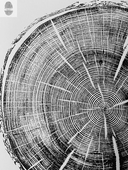 Black Hills South Dakota Woodcut print, Tree Ring Print, Arborist, Forestry, Biology Gift, 18x24 inches, Signed Original lintonart
