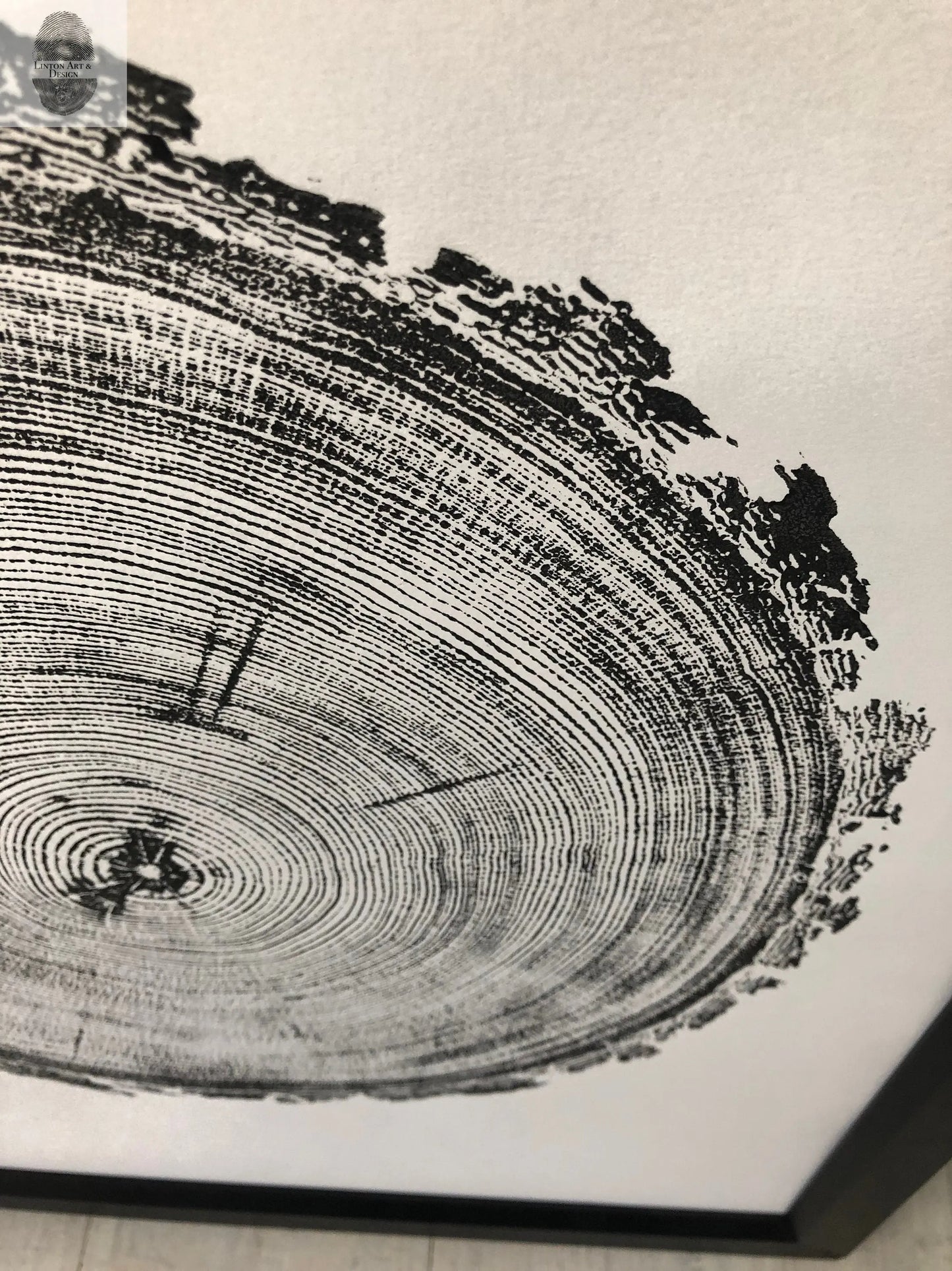 Denver Art, Rocky Mountains, Pine Tree Art, Tree ring Print, Woodcut Print lintonart
