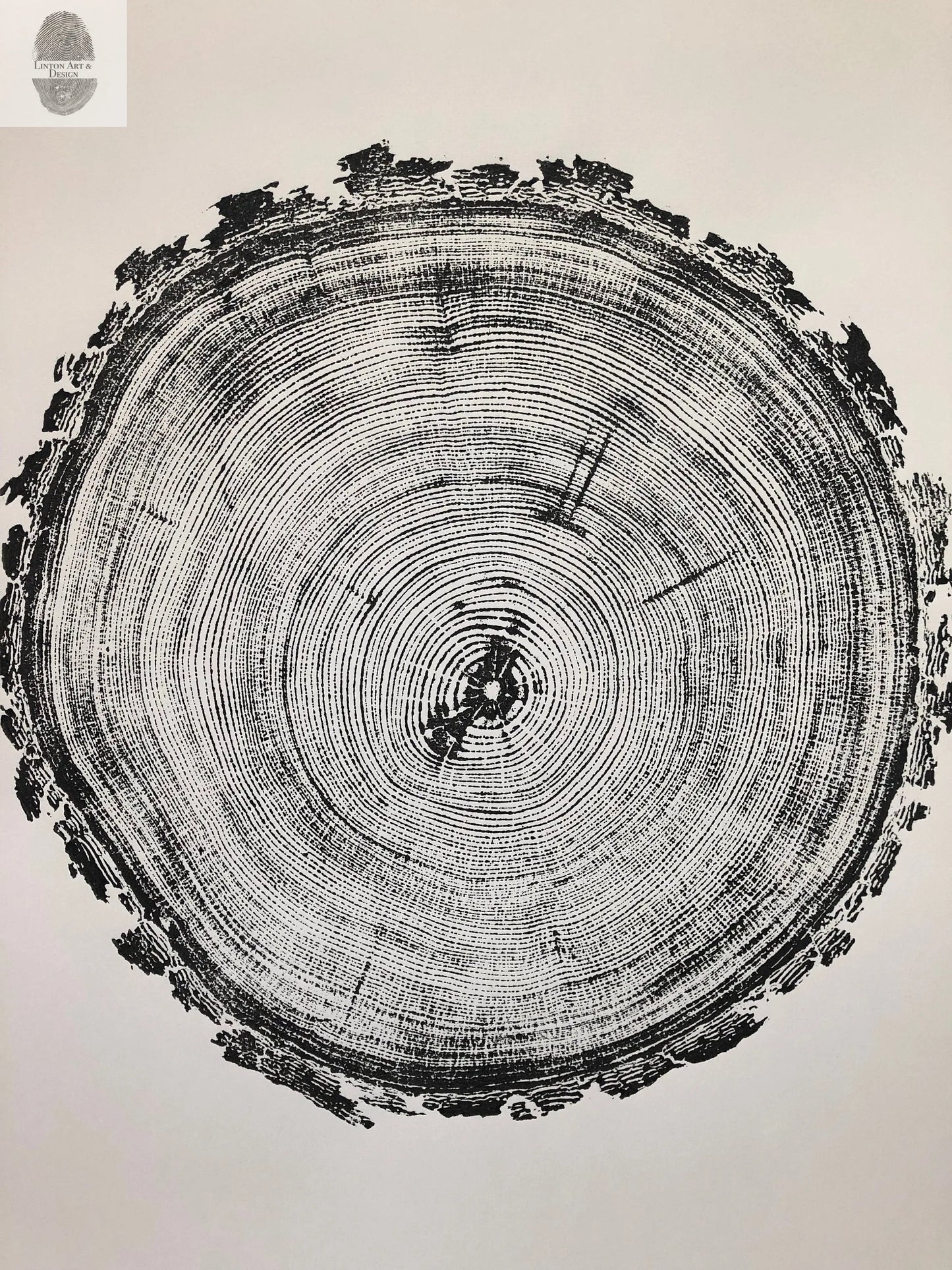 Denver Art, Rocky Mountains, Pine Tree Art, Tree ring Print, Woodcut Print lintonart