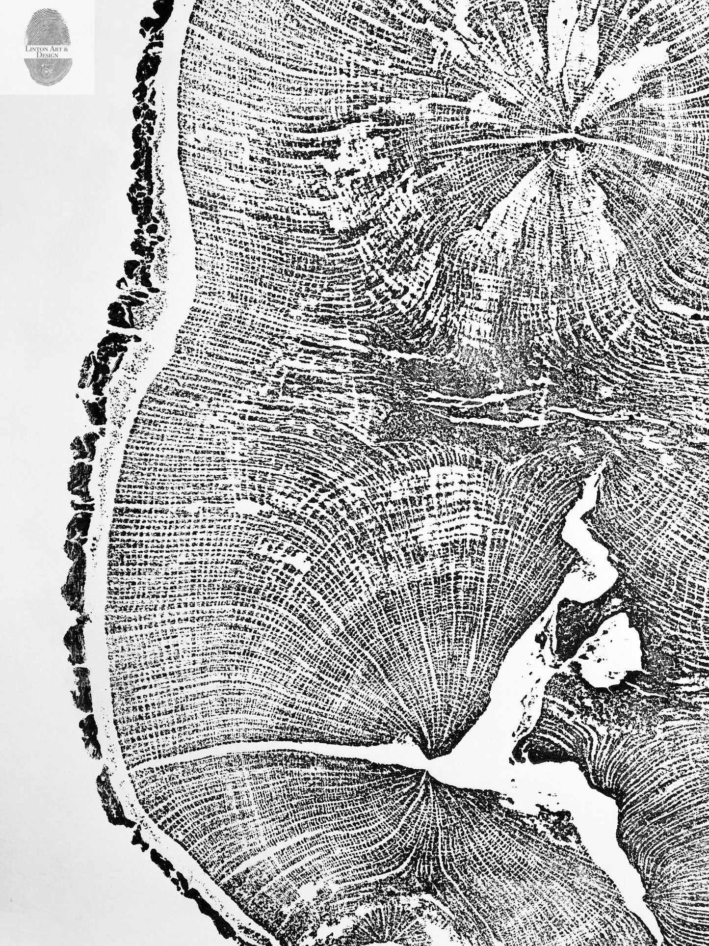 English Oak, Tree ring art print, Oak from Liverpool UK, Anniversary art, Tree ring art, Tree rings, Original Woodcut print by Erik Linton lintonart