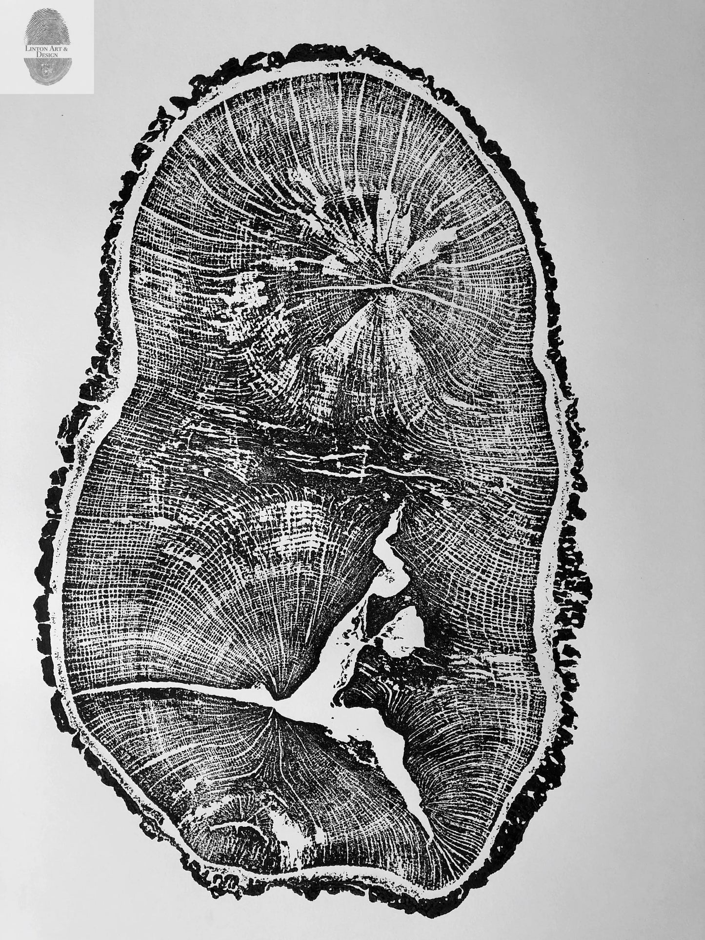 English Oak, Tree ring art print, Oak from Liverpool UK, Anniversary art, Tree ring art, Tree rings, Original Woodcut print by Erik Linton lintonart