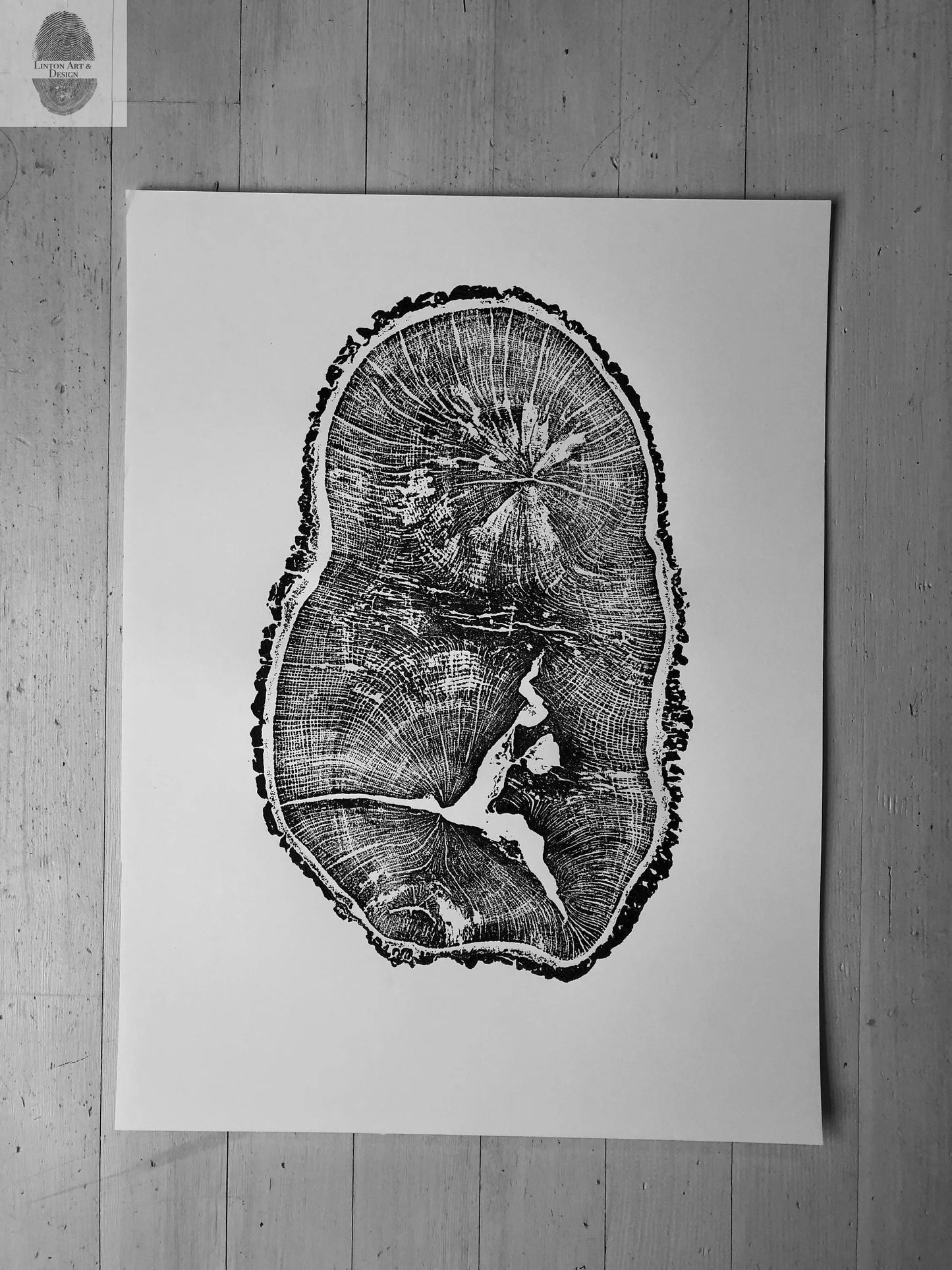 English Oak, Tree ring art print, Oak from Liverpool UK, Anniversary art, Tree ring art, Tree rings, Original Woodcut print by Erik Linton lintonart
