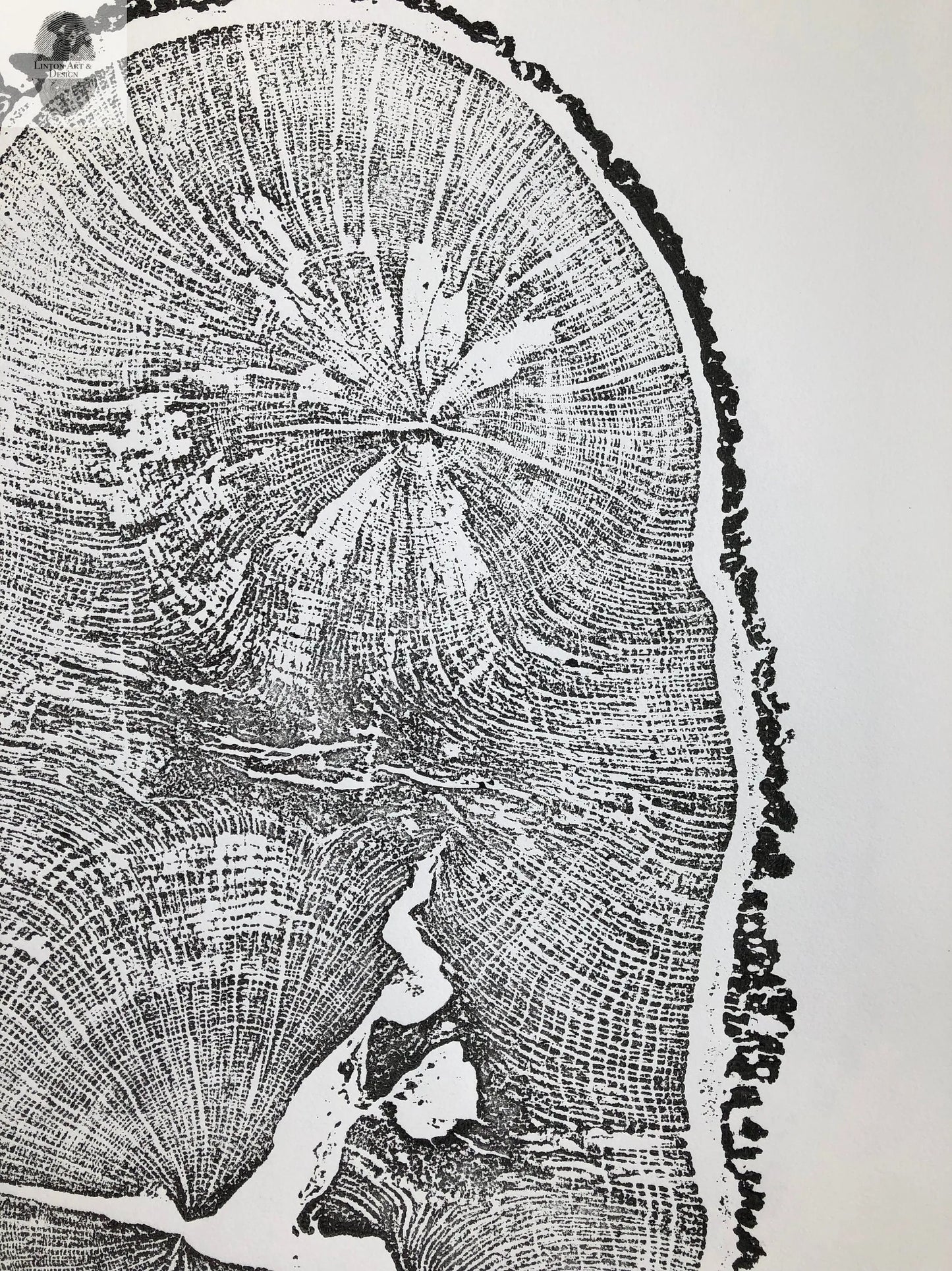 English Oak, Tree ring art print, Oak from Liverpool UK, Anniversary art, Tree ring art, Tree rings, Original Woodcut print by Erik Linton lintonart