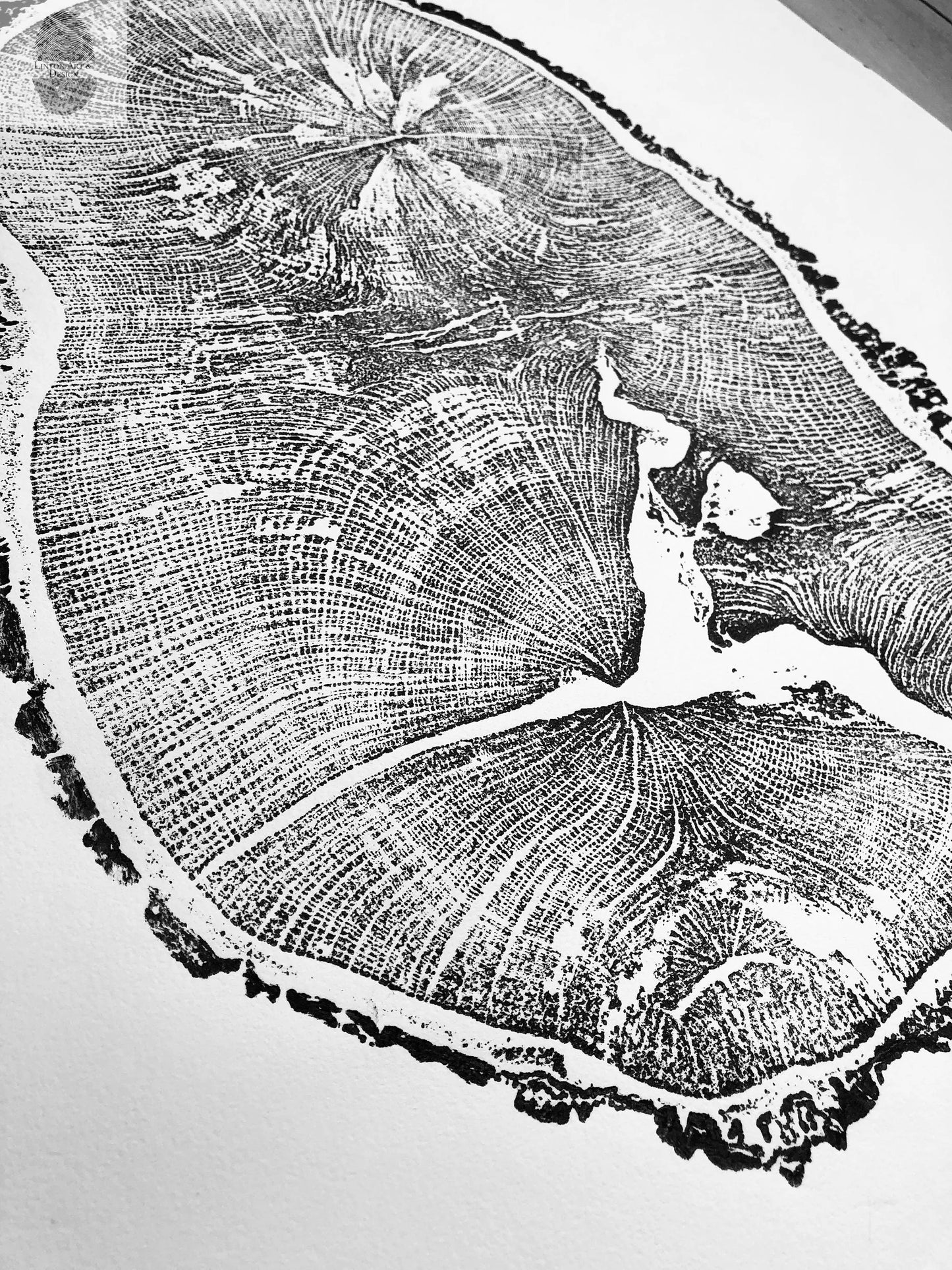 English Oak, Tree ring art print, Oak from Liverpool UK, Anniversary art, Tree ring art, Tree rings, Original Woodcut print by Erik Linton lintonart