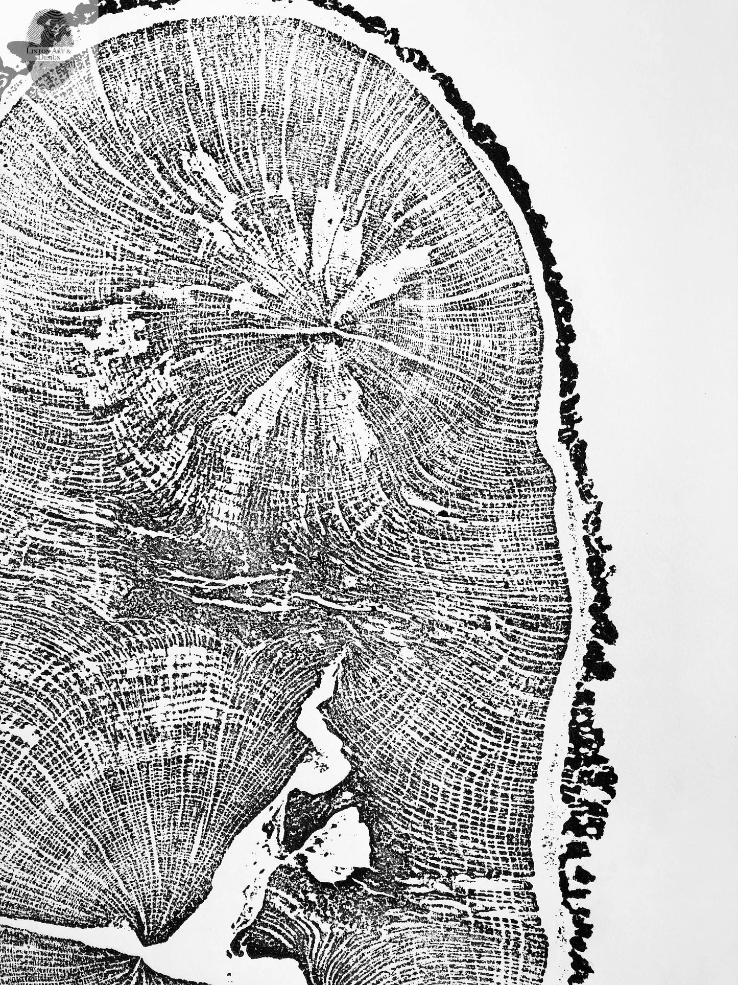 English Oak, Tree ring art print, Oak from Liverpool UK, Anniversary art, Tree ring art, Tree rings, Original Woodcut print by Erik Linton lintonart