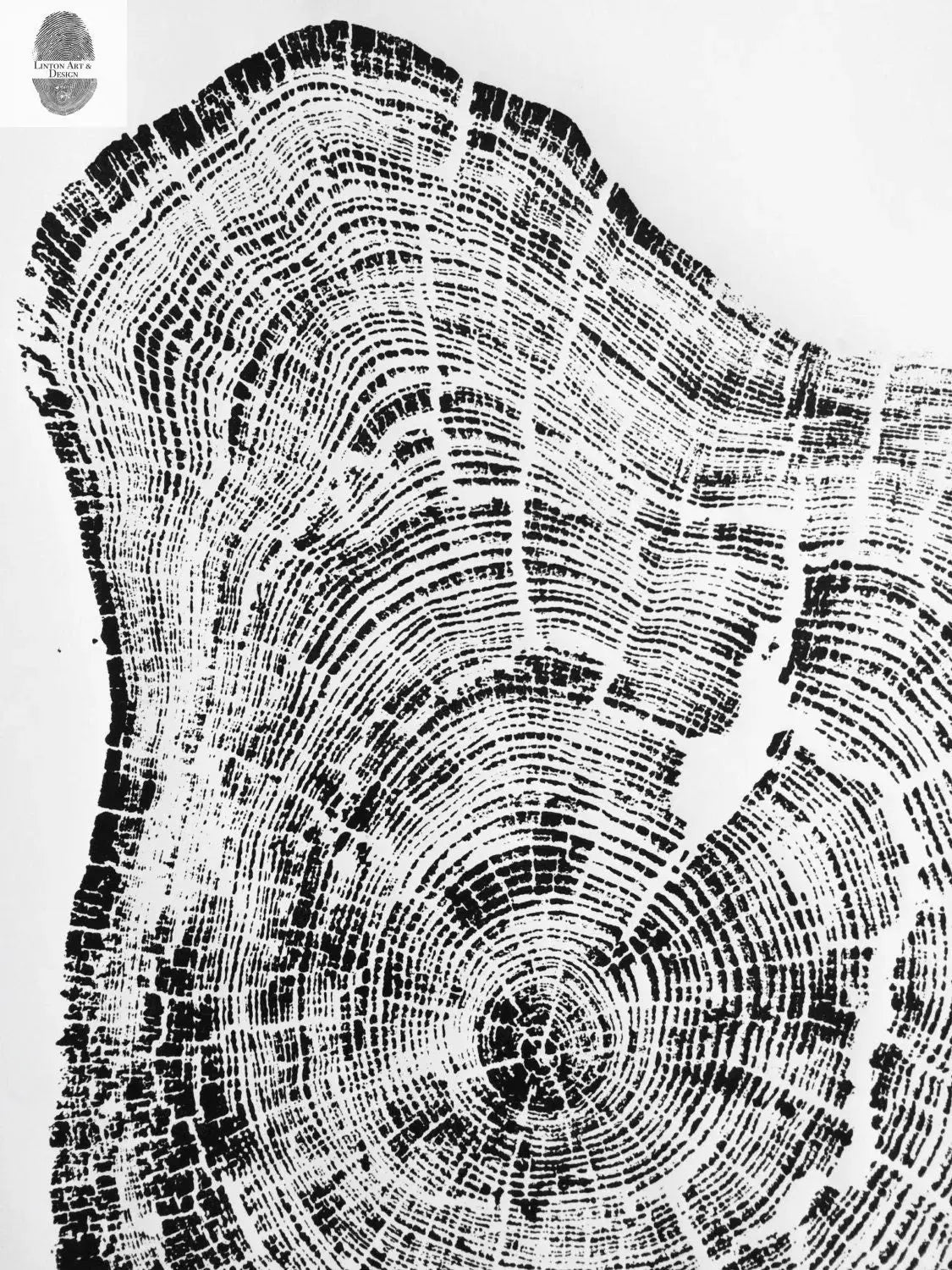 Grand Canyon Art, Huge Wall Art, Tree Ring Print, Arizona Art, Woodcut Print lintonart
