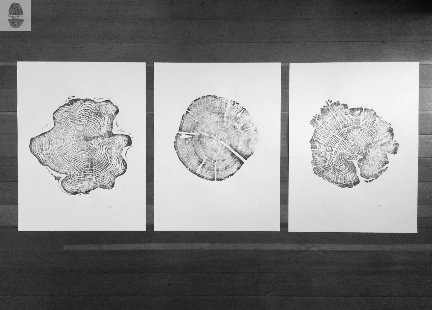 Grand Tetons, Alaska Art, Wyoming Art, Idaho Art, Tree Ring Art, Woodcut print, Biology Gifts, tree ring prints - 18x24 each print lintonart