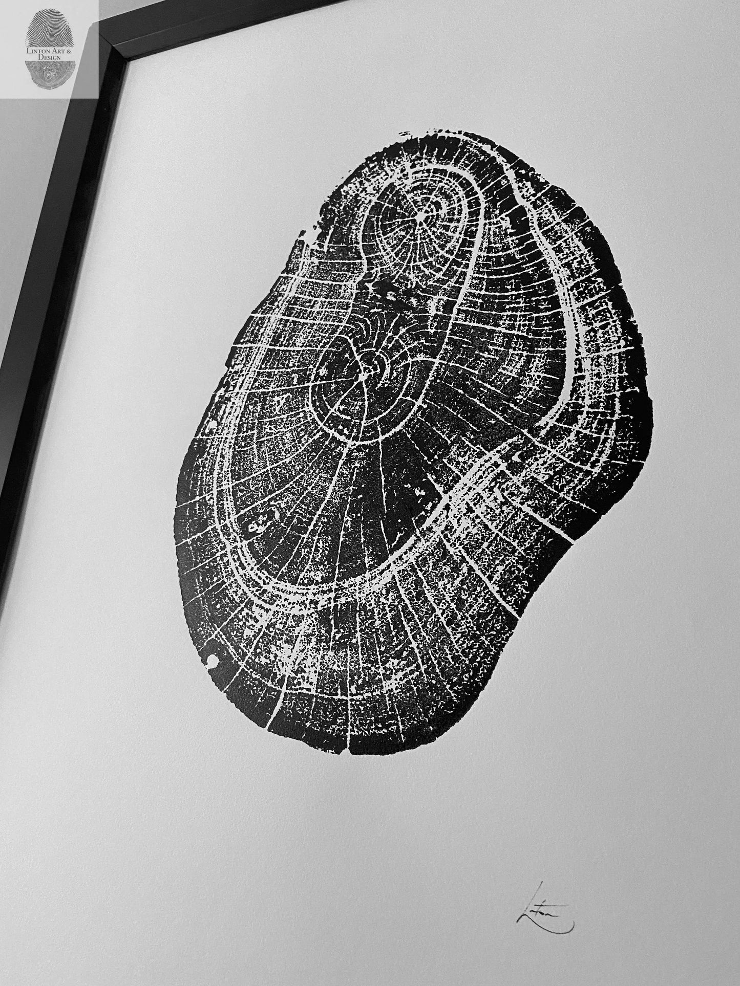 Hawaii Mango Tree, Tree ring print from Hawaii, Tree stump art, 18x24 inch woodcut, handmade by Erik Linton lintonart