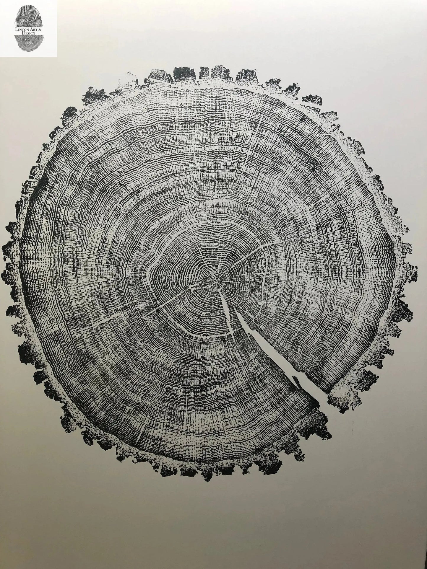 Minnesota Oak - 24x36 print lintonart