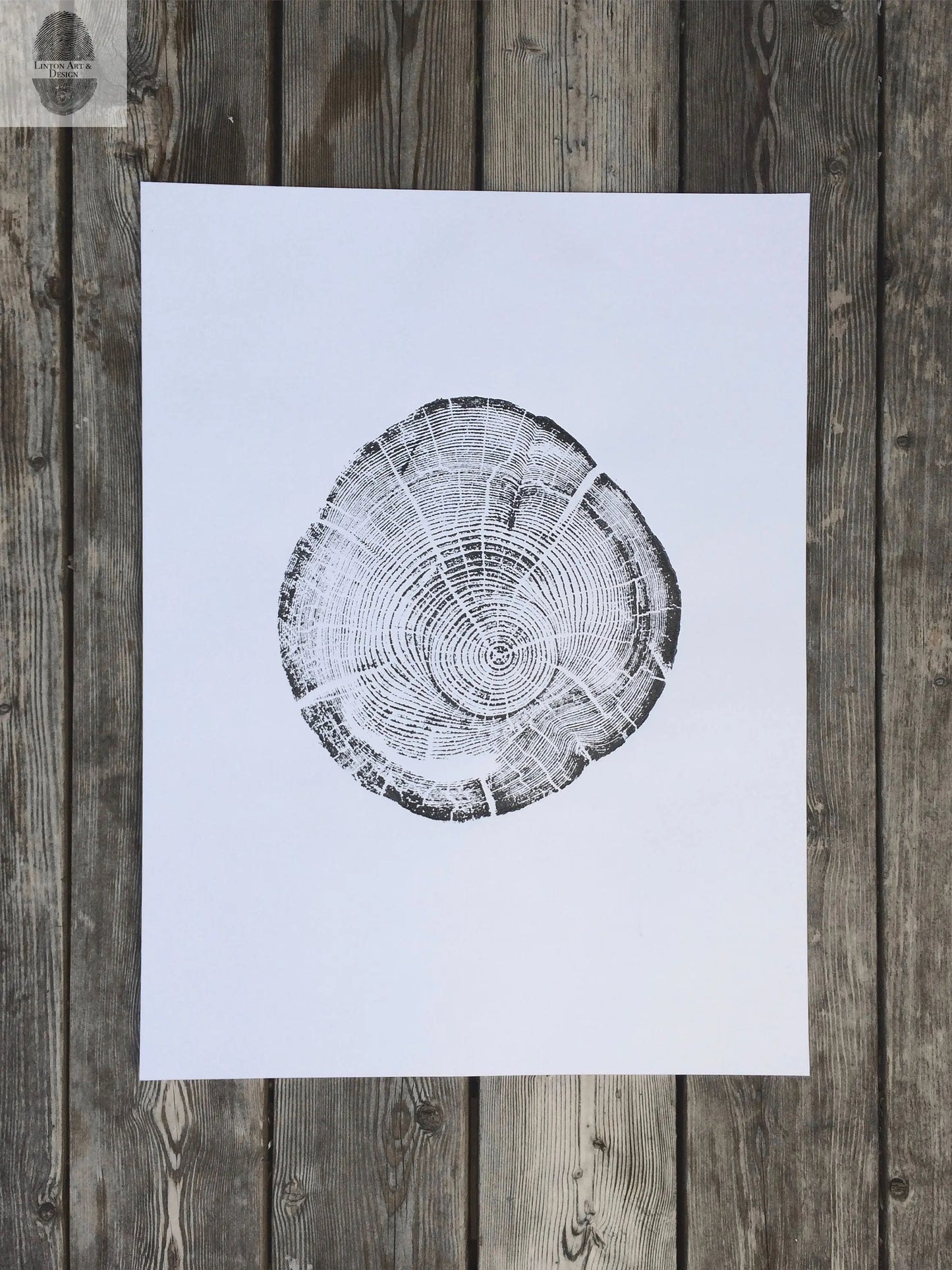 Montana Tree, Flathead Lake, Montana, Driftwood, tree stump, Montana print, forest art print, natural textures, natural patterns, LintonArt lintonart
