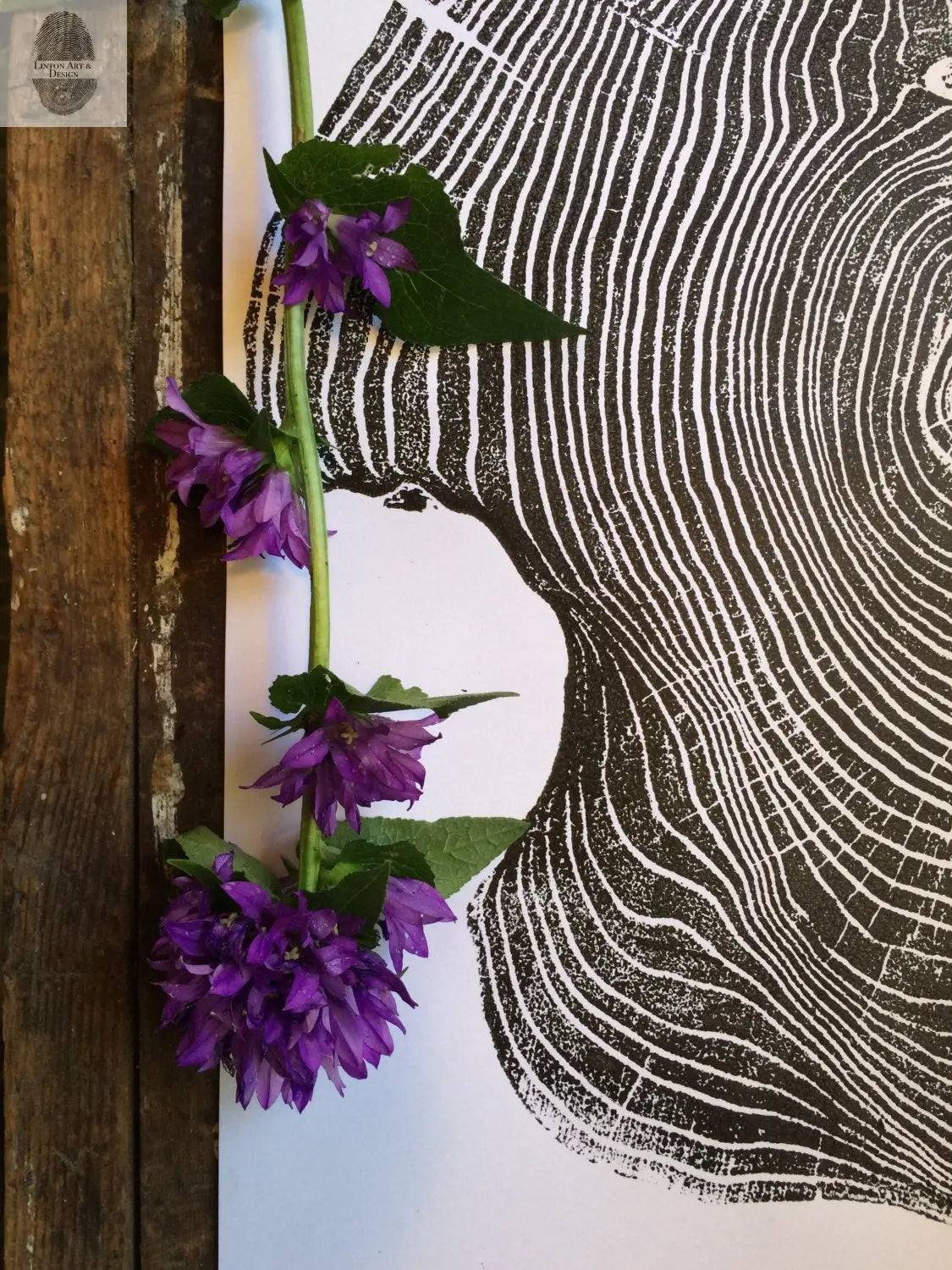 Mulberry - 18x24 print lintonart