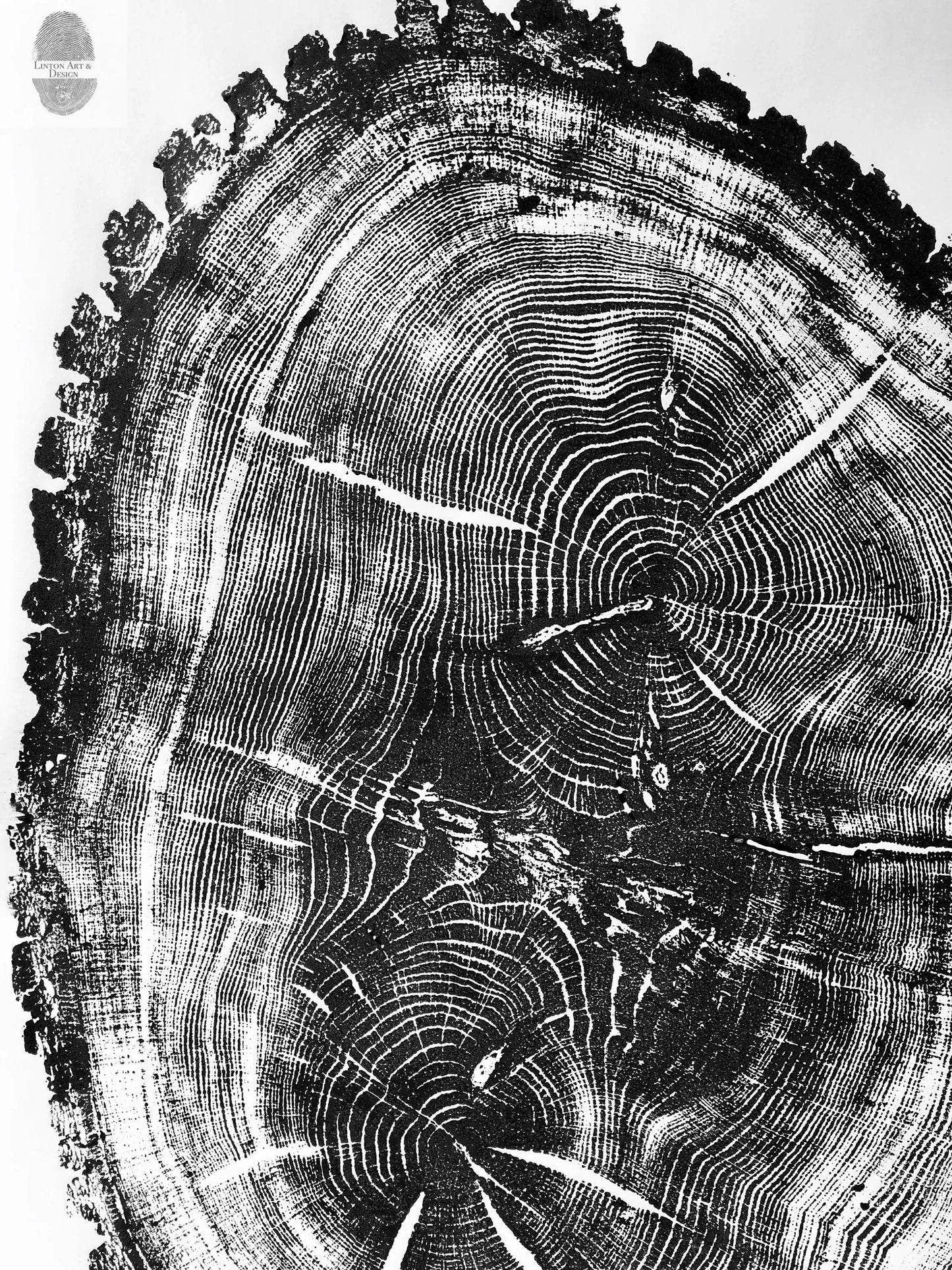 Nauvoo, Illinois Oak - 24x36 print lintonart